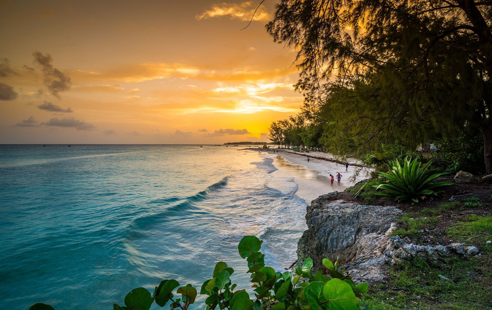 Пляж на Барбадосе
Фото: Sandals Resorts