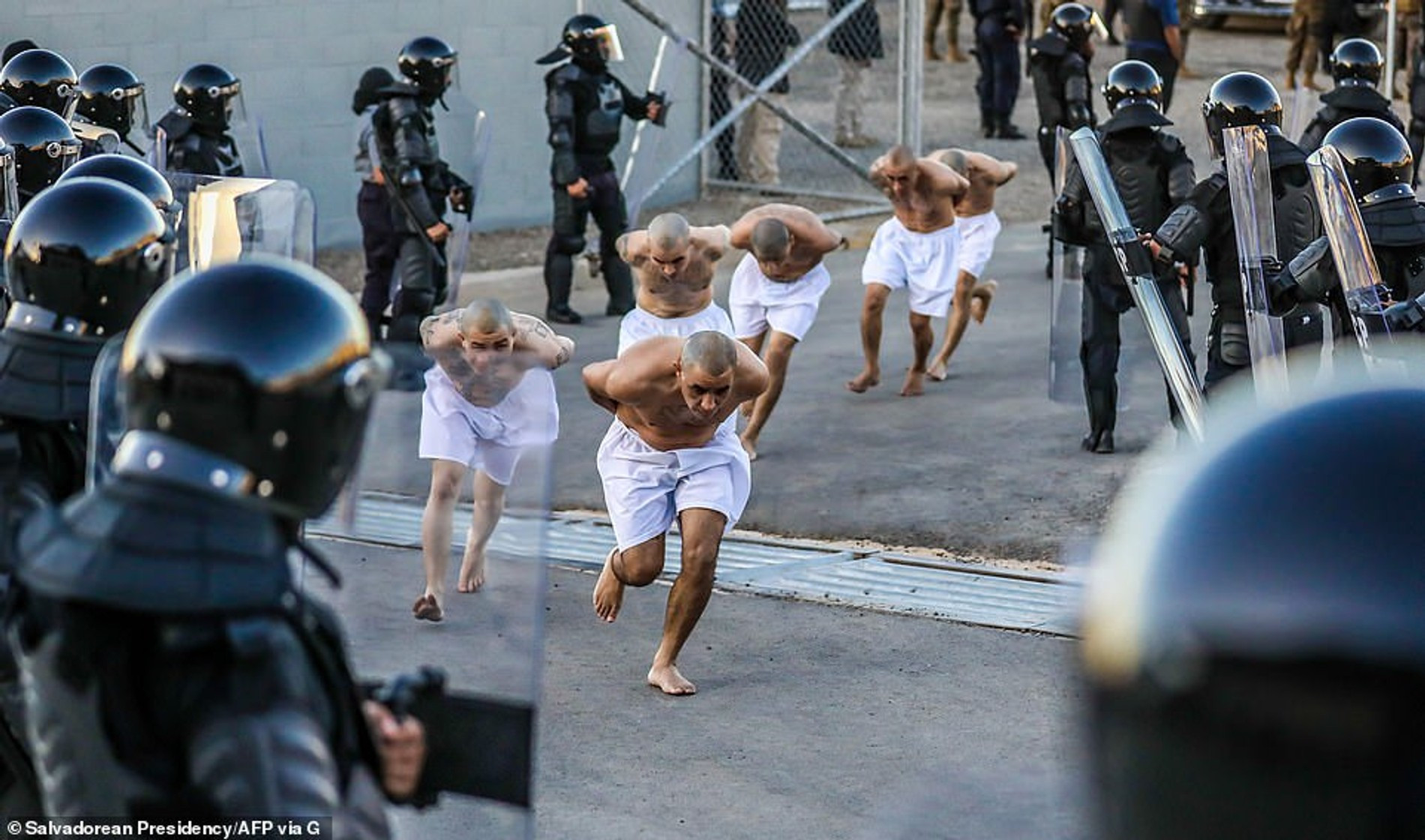 Заключенные забегают в новую тюрьму
Фото: Daily Mail