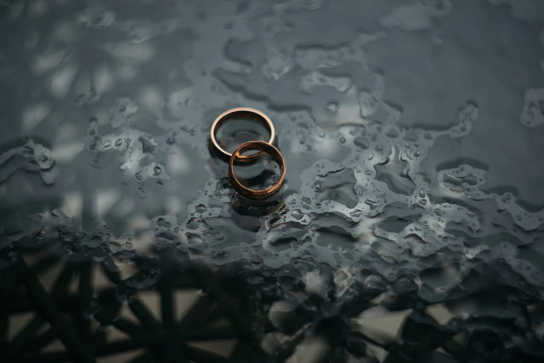Фото: pexels.com