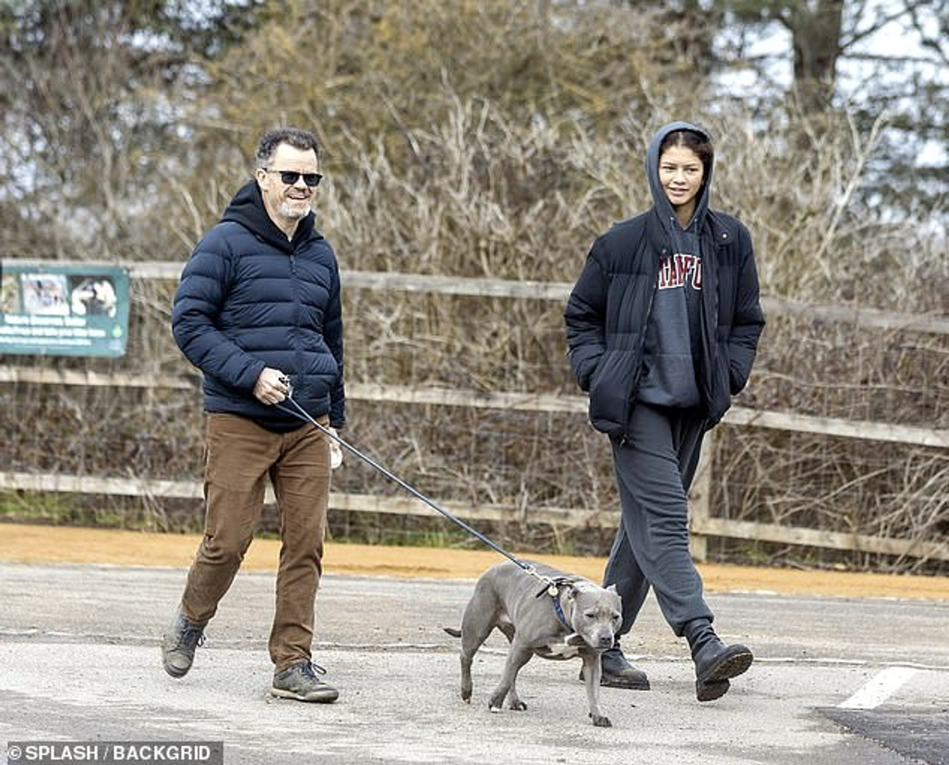 Зендея с Домиником Холландом
Фото: Daily Mail