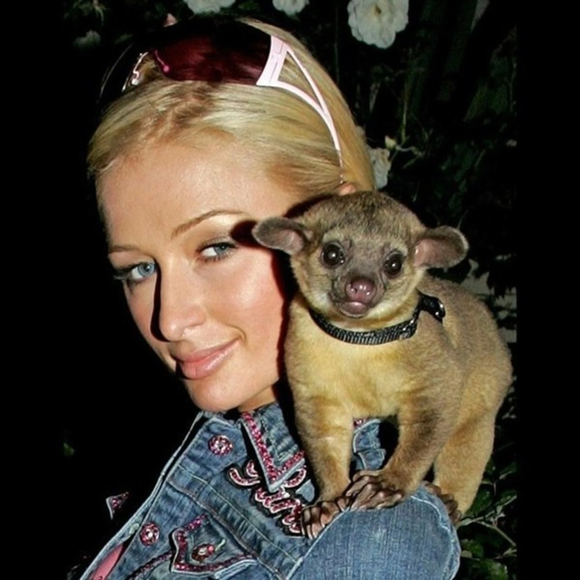 Пэрис Хилтон со своим кинкажу
Фото: Twitter / @ParisHilton
