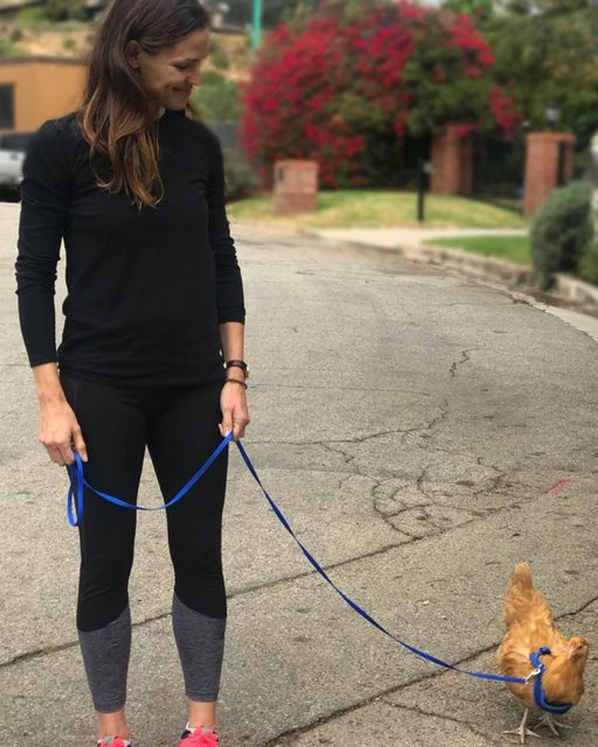 Дженнифер Гарнер и Реджина Джордж
Фото: Инстаграм (запрещен в РФ) / @jennifer.garner