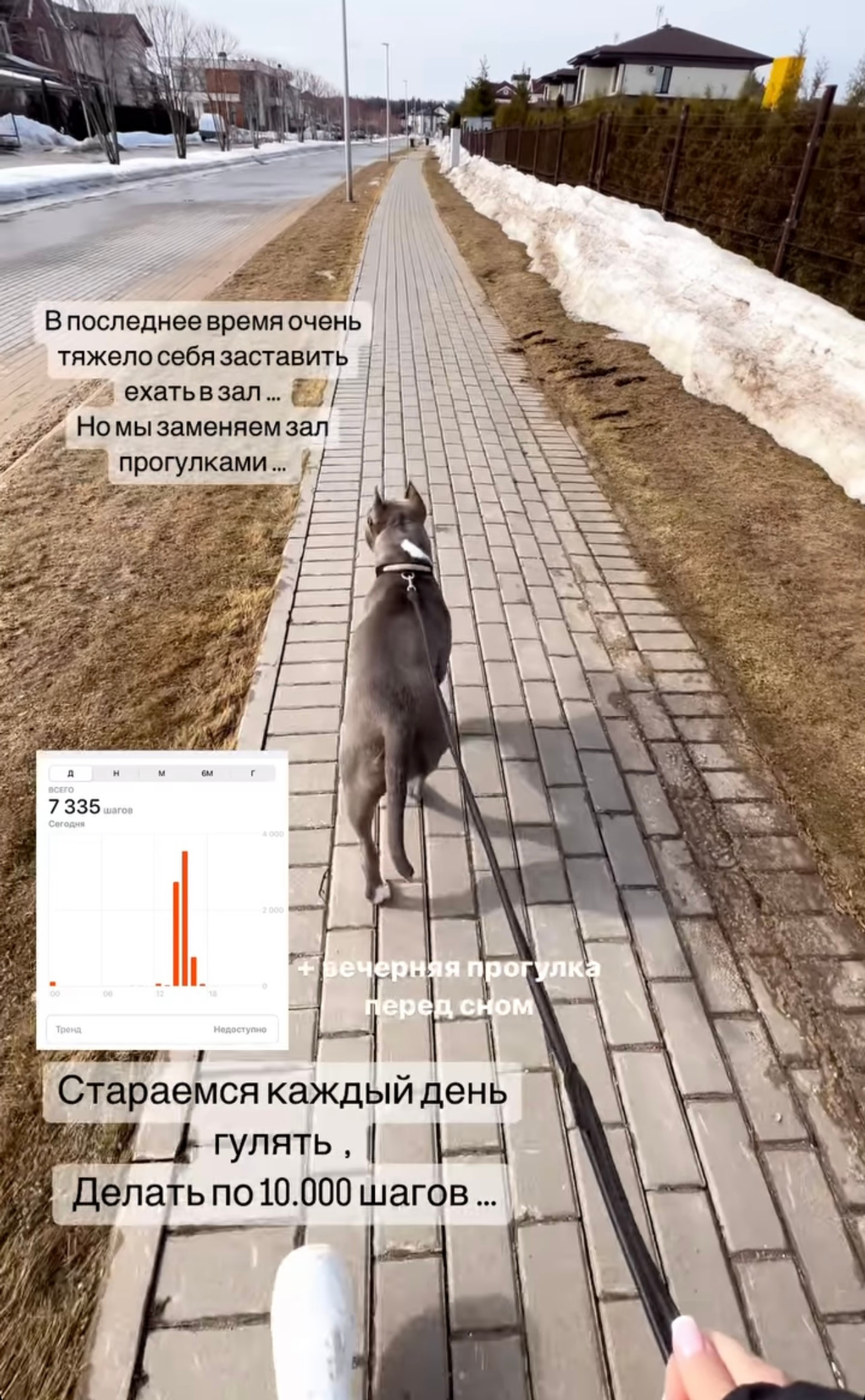 Новый пост Зепюр Брутян
Фото: Инстаграм (запрещен в РФ) @zepyur_brutyan