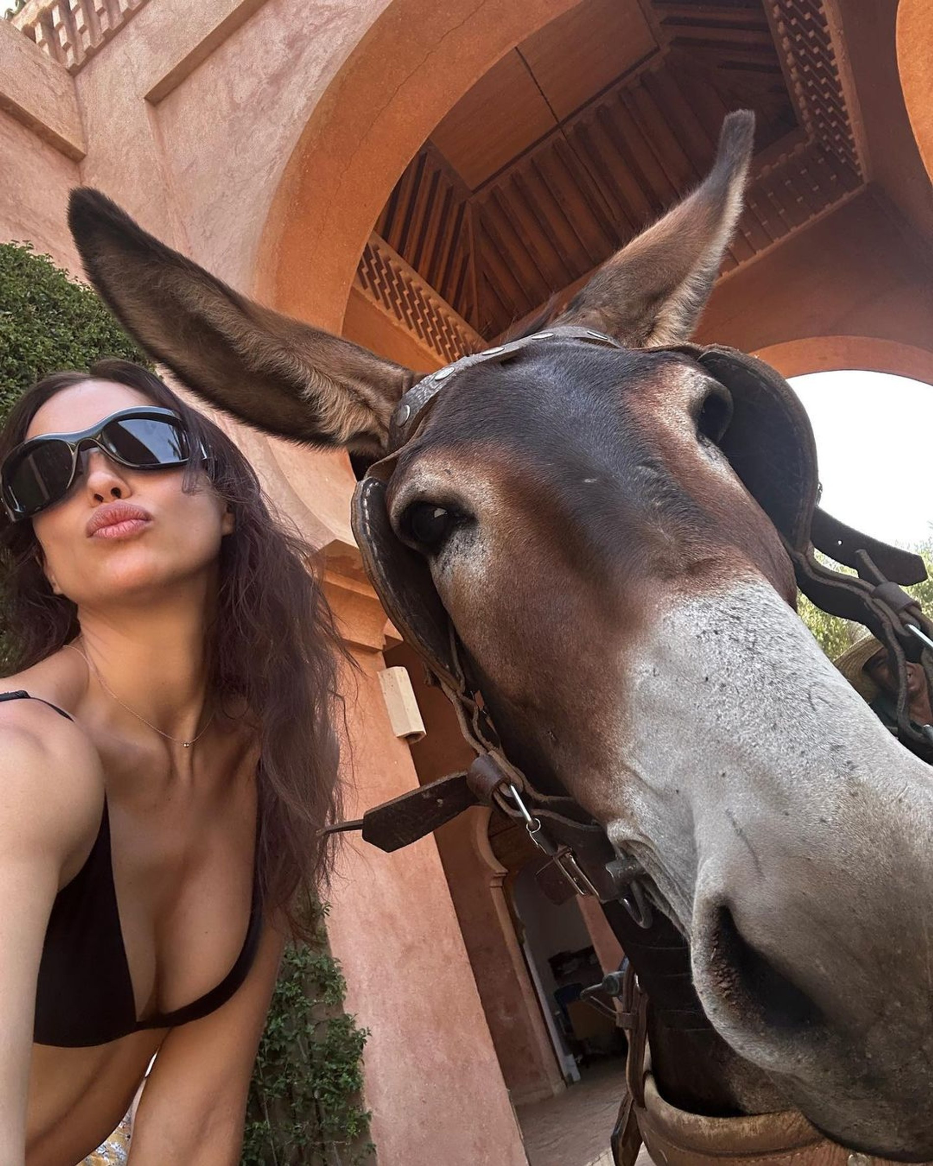 Ирина Шейк. Фото: Инстаграм* @irinashayk