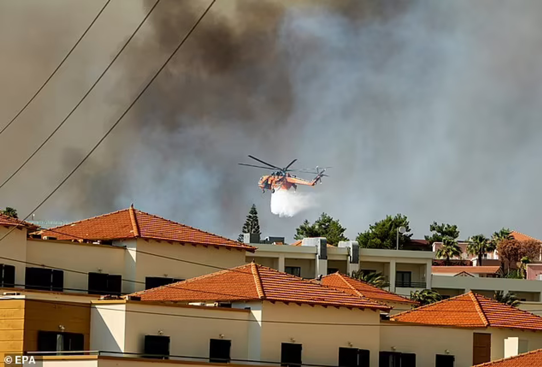 Фото: EPA