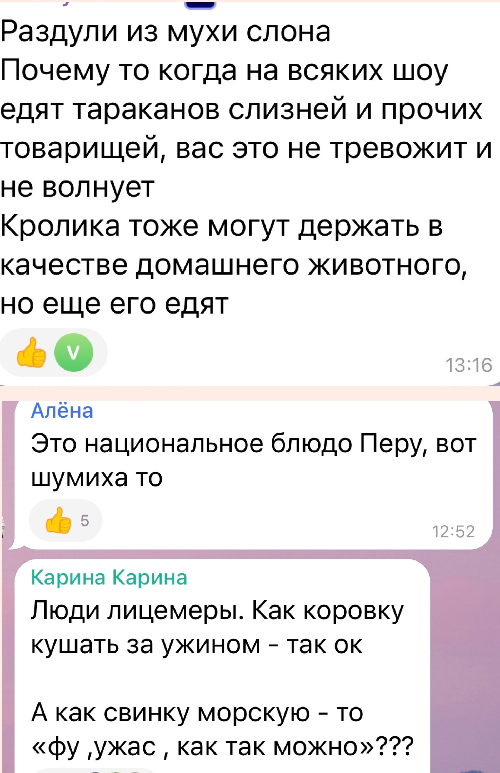 Комментарии под публикациями Анастасии Ивлеевой