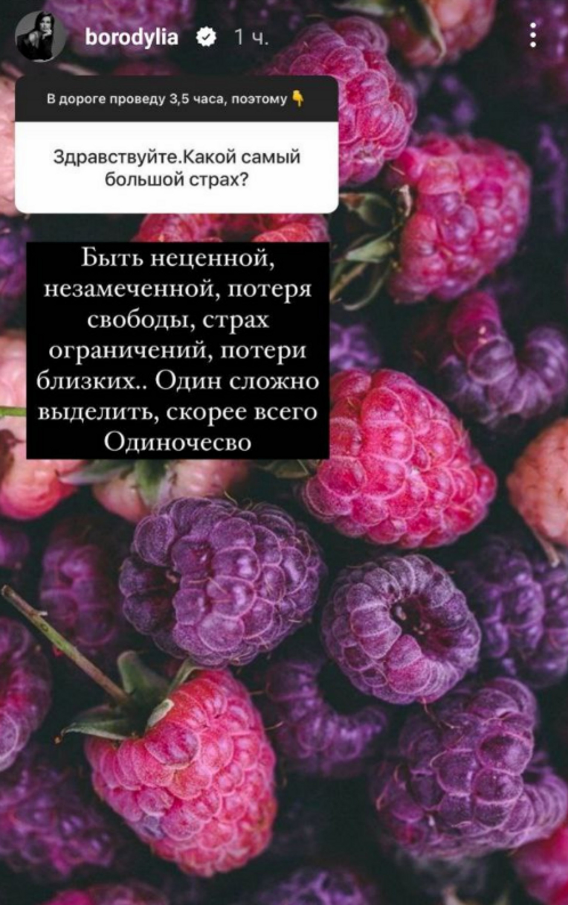 Ксения Бородина. Фото: Инстаграм* @borodylia