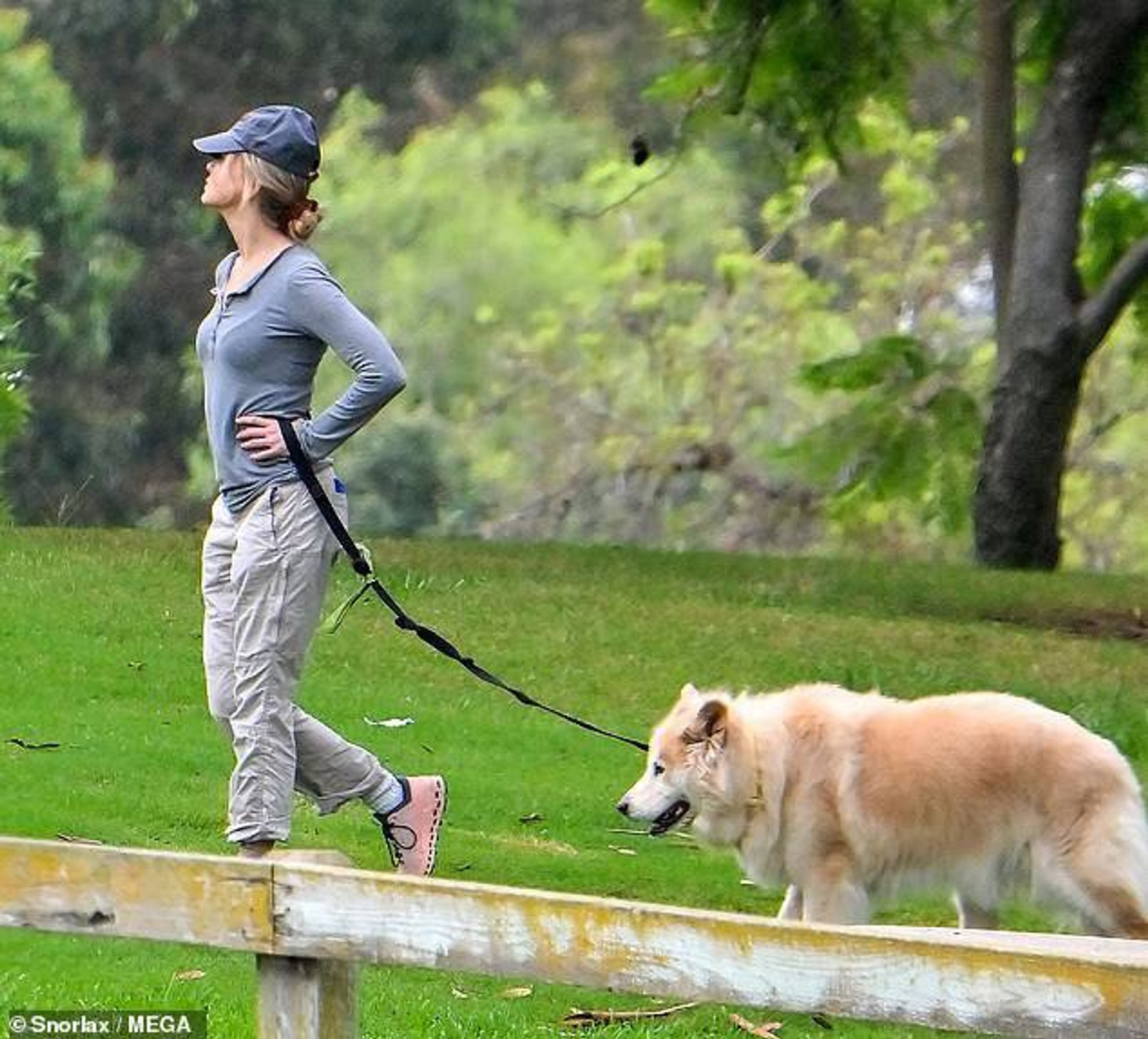 Рене Зеллвегер. Фото: Daily Mail