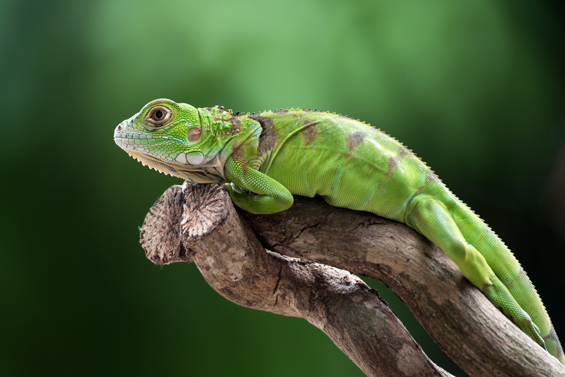 Фото: Freepik