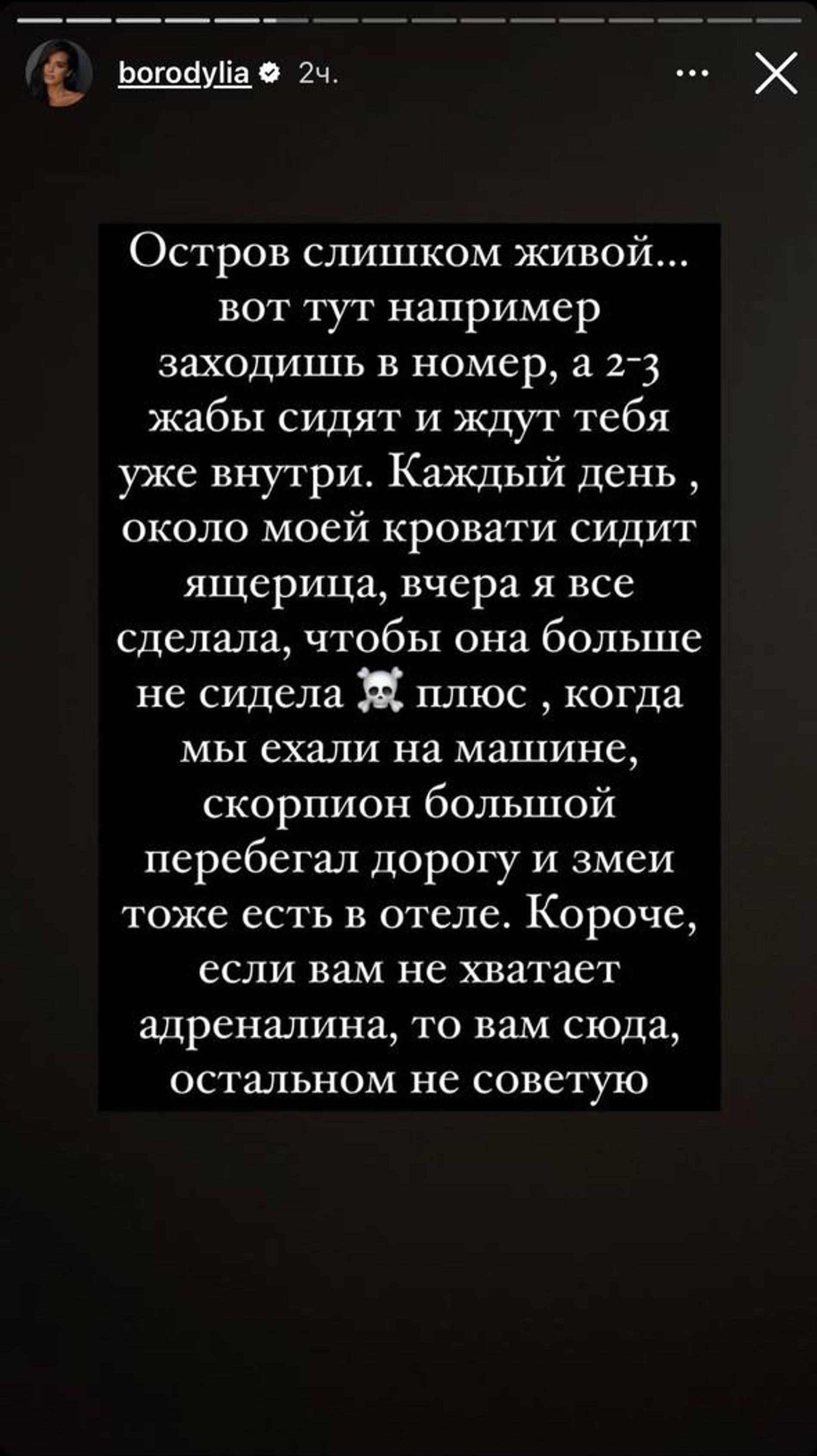 Скриншот: Инстаграм* @borodylia