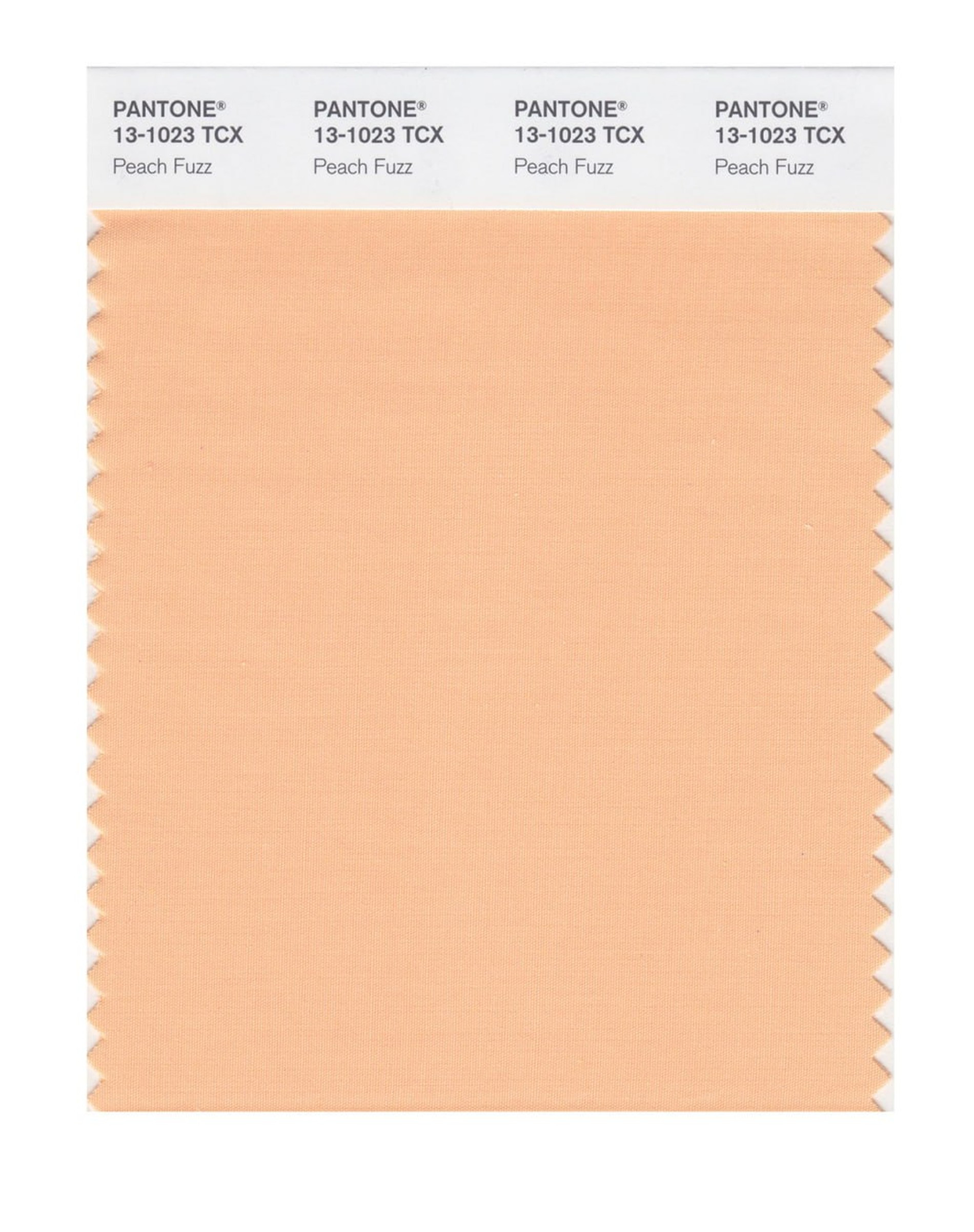 Цвет Peach Fuzz. Фото: Pantone