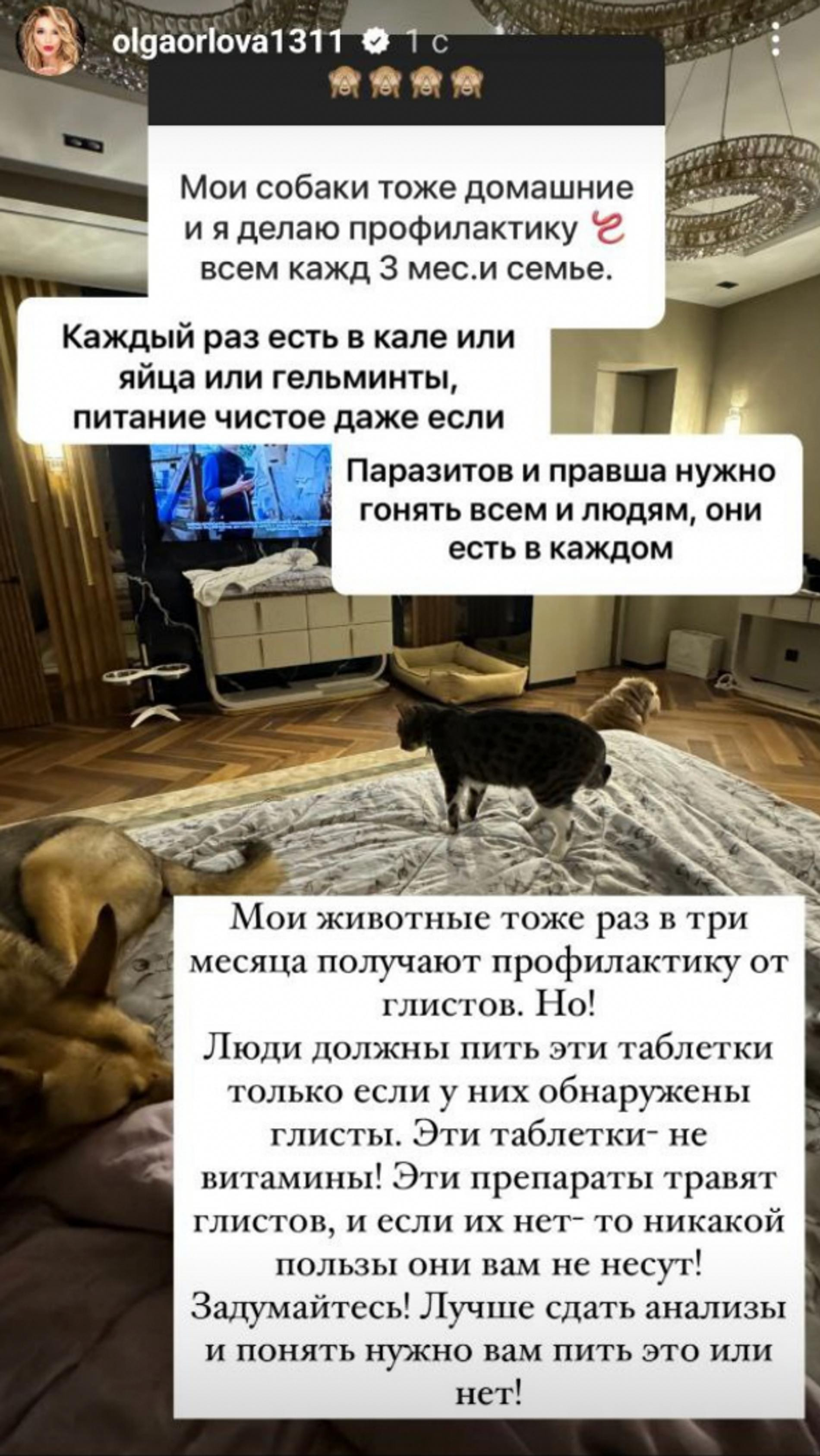 Фото: Инстаграм* @olgaorlova