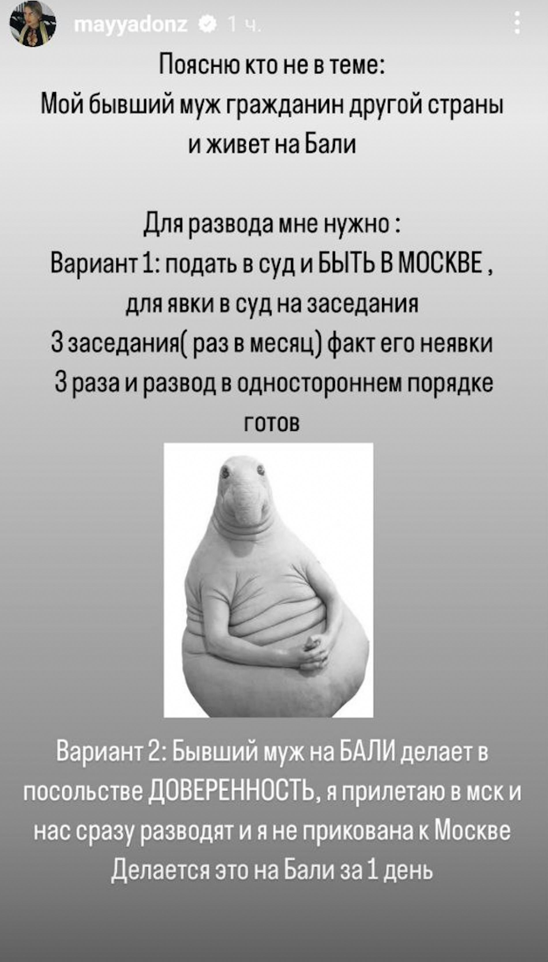Фото: Инстаграм (запрещен в РФ) @mayyadonz