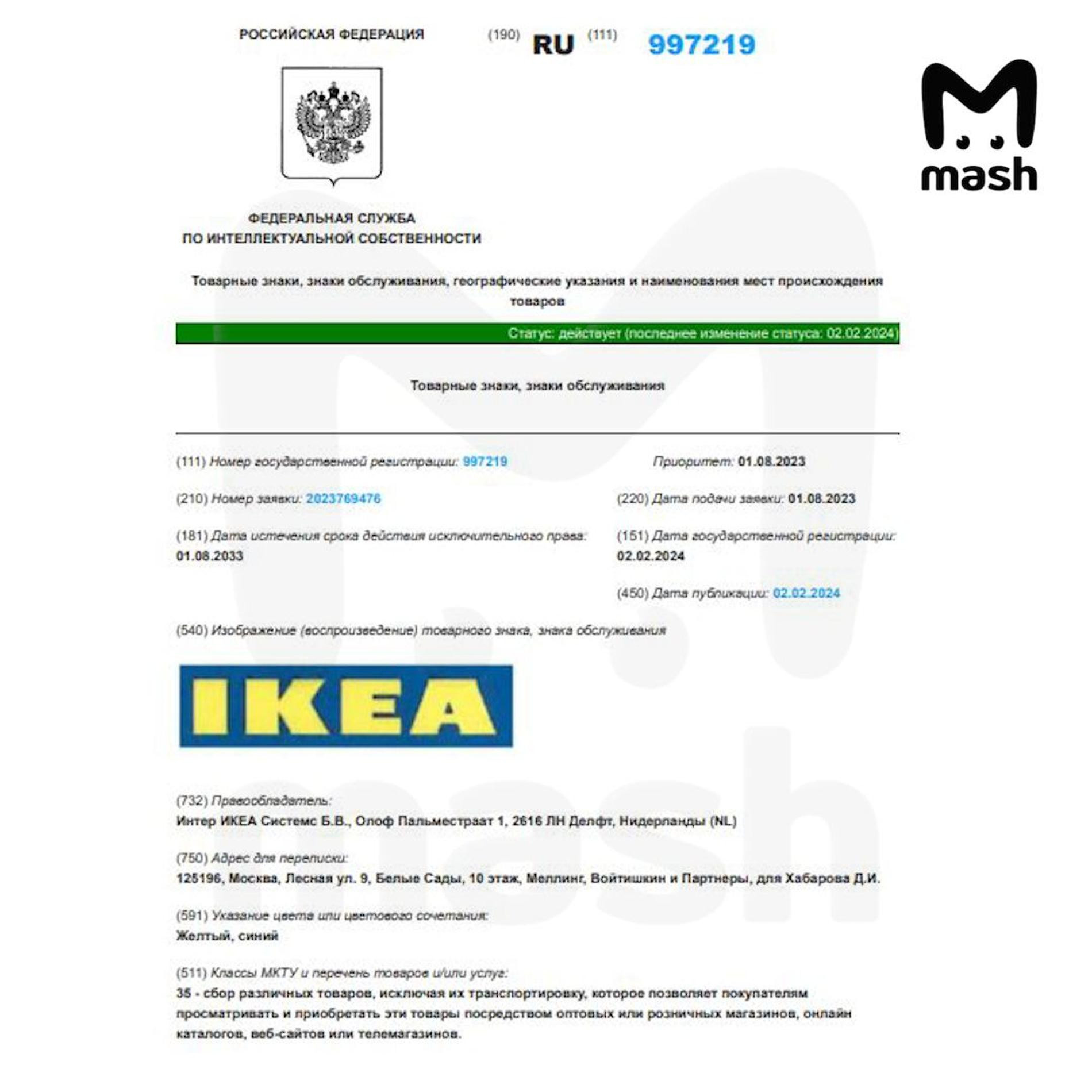 Фото: Mash