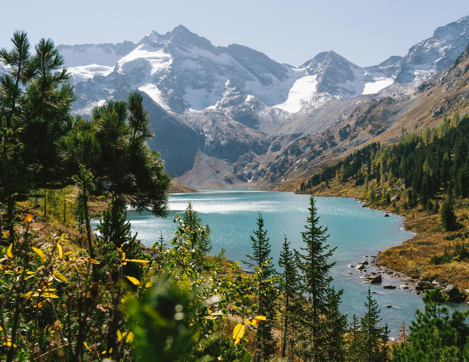 Фото: Alexander Klimm / Unsplash