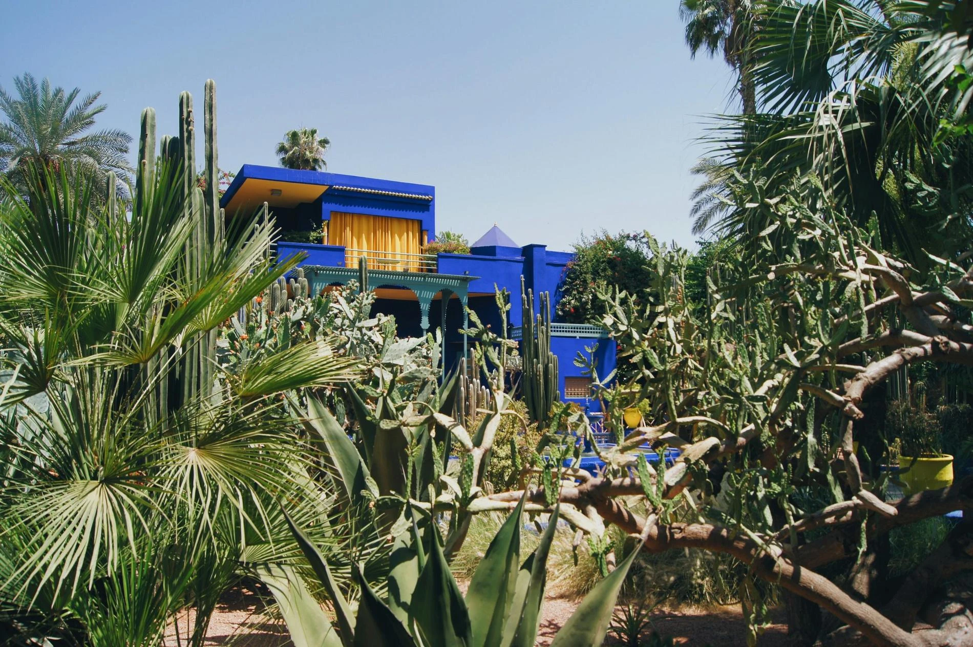Фото: Nicole Ashley Rahayu Densmoor / pexels.com