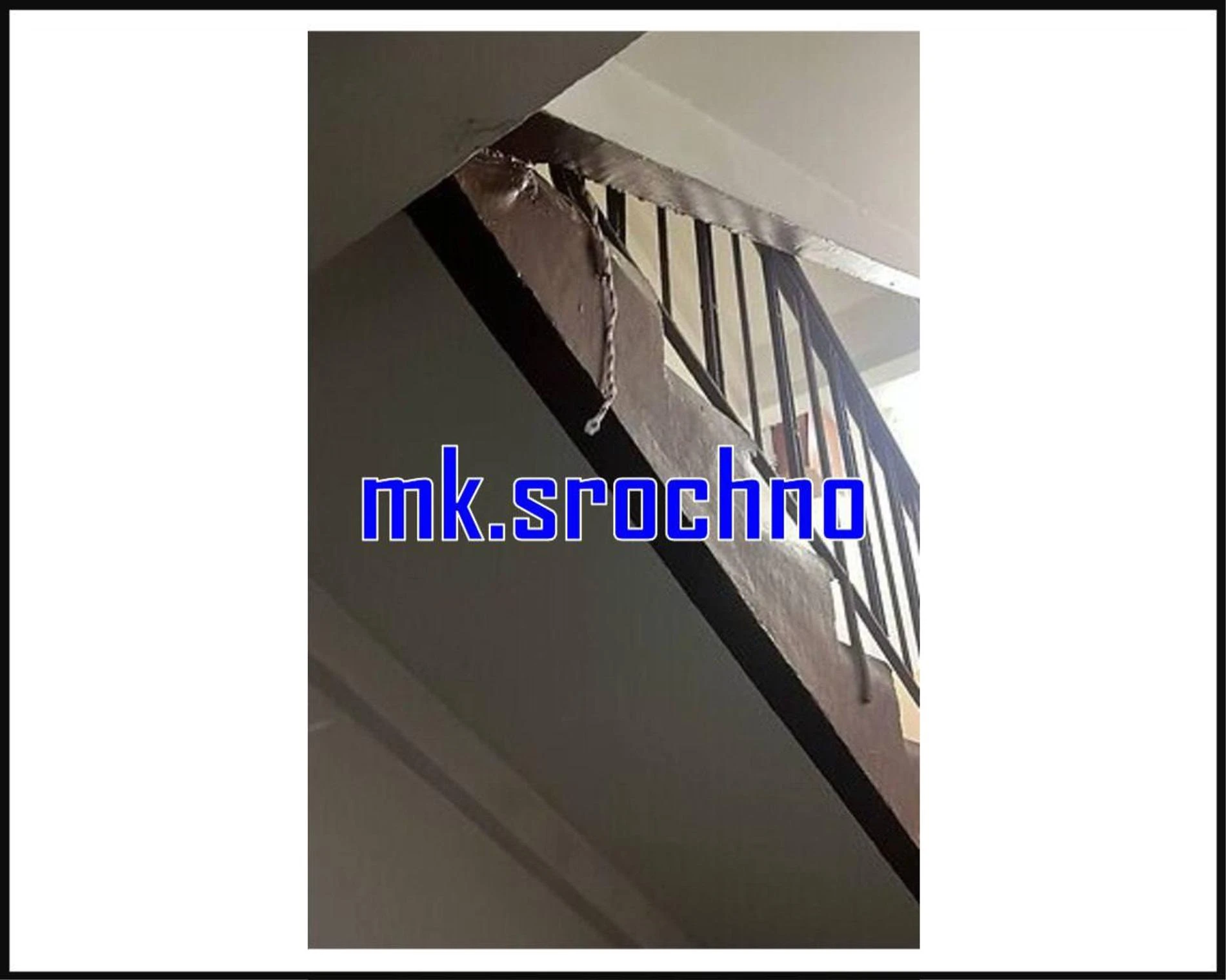 Фото: Telegram @mk_srochno