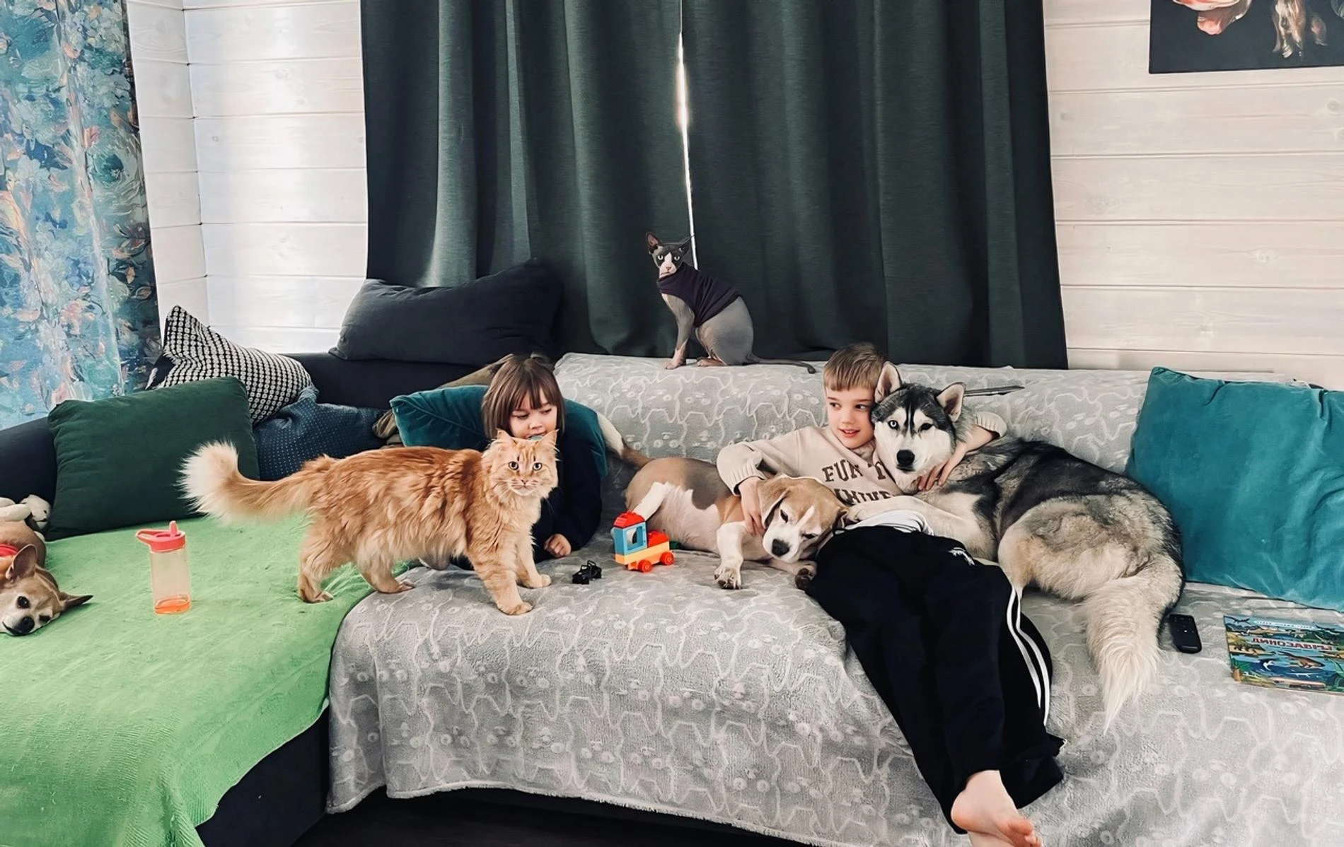 Свежий кадр со страницы Алексея Корзина. Фото: VK @korzzzzin