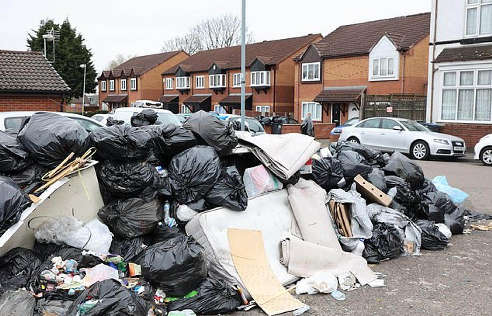 Британский Бирмингем заполонили крысы. Фото: Daily Mail