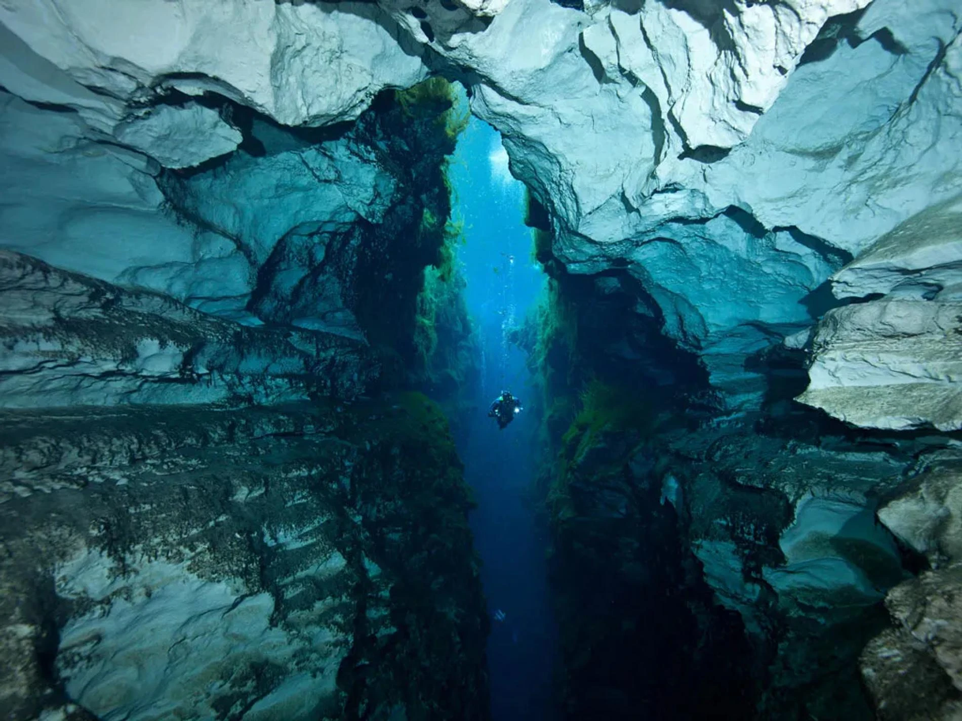 Фото: Getty Images
