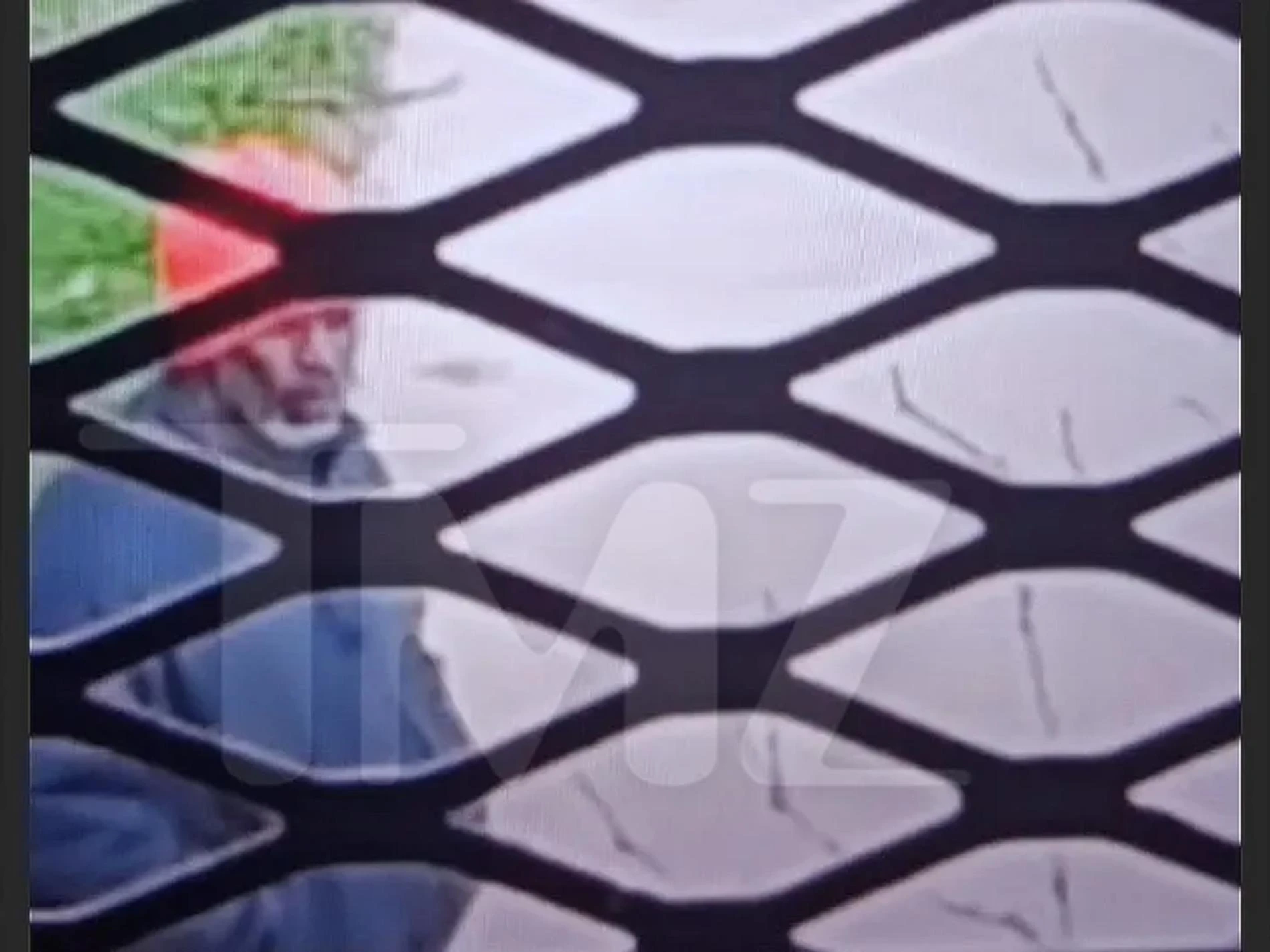 P. Diddy. Фото: TMZ