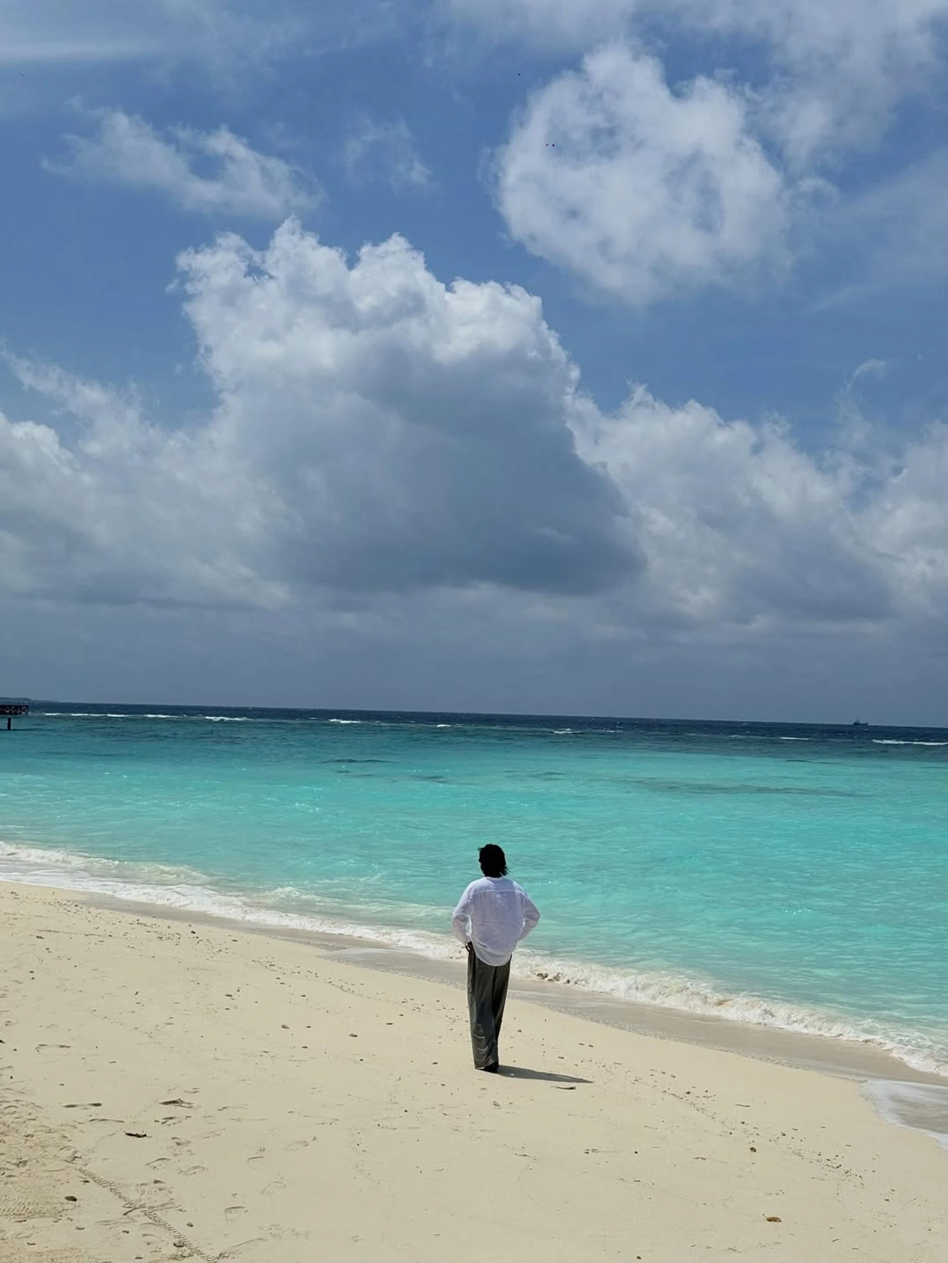 Фото: Инстаграм (запрещён в РФ) @bortich