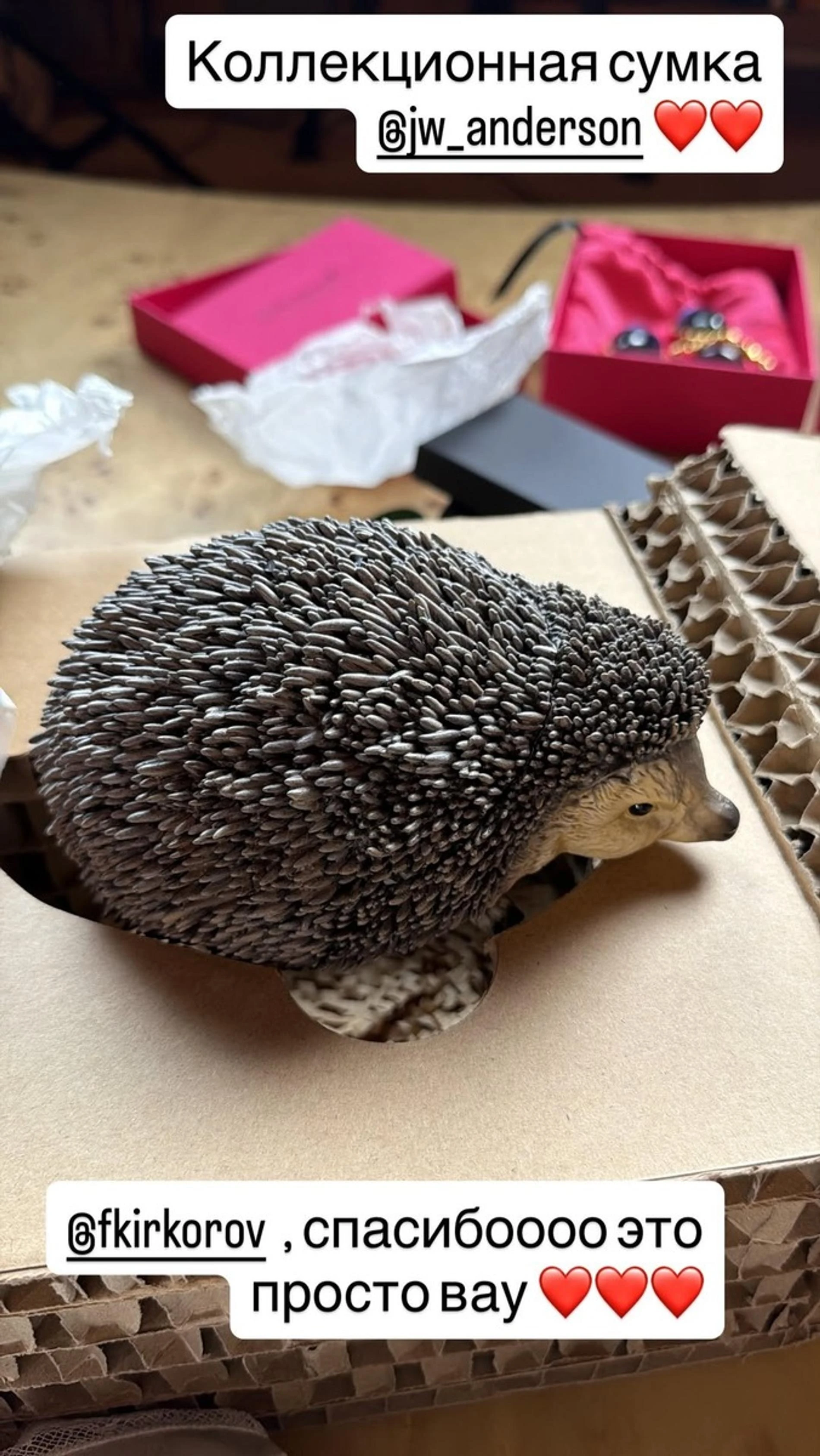 Фото: соцсети 