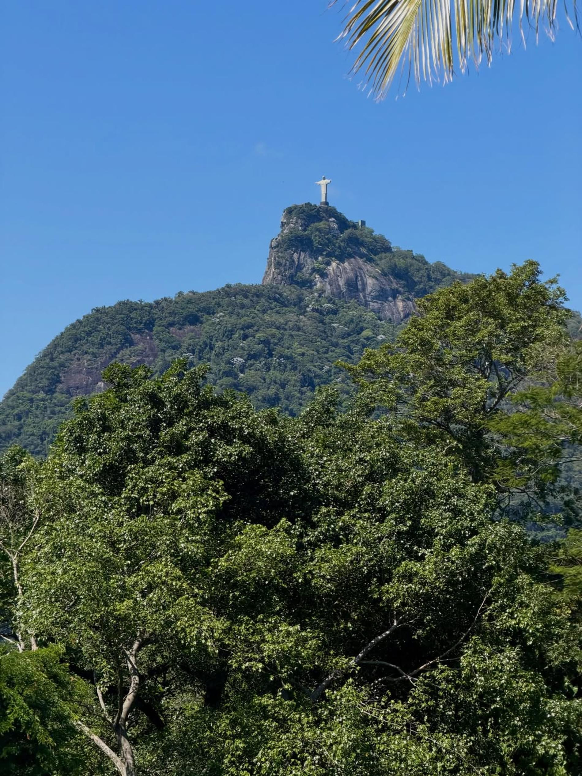 Статуя Христа-Искупителя. Фото: Инстаграм (запрещён в РФ) @rosiehw