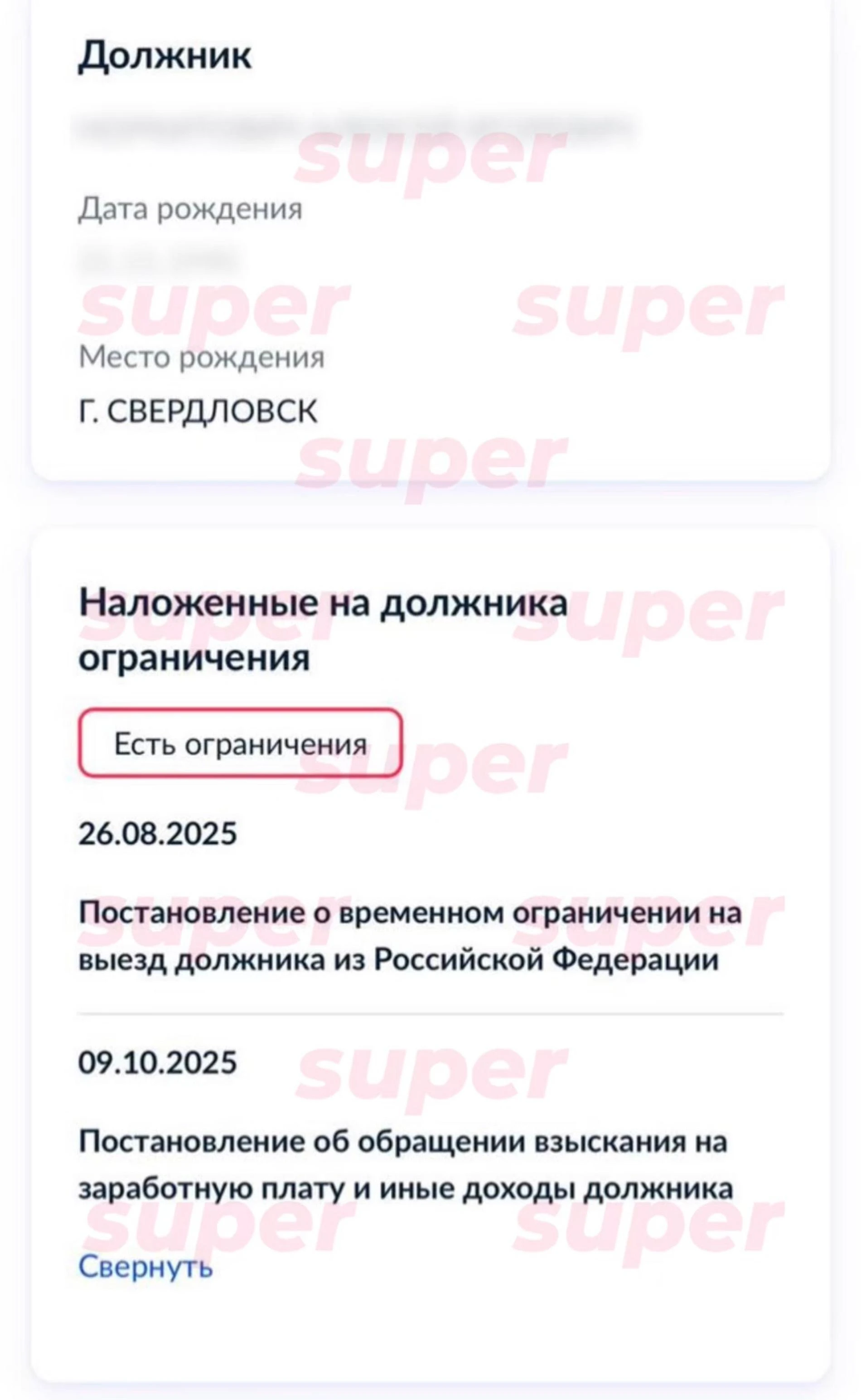 Скриншот с информацией о должнике, который прислала Екатерина Лукьянова. Фото: Super