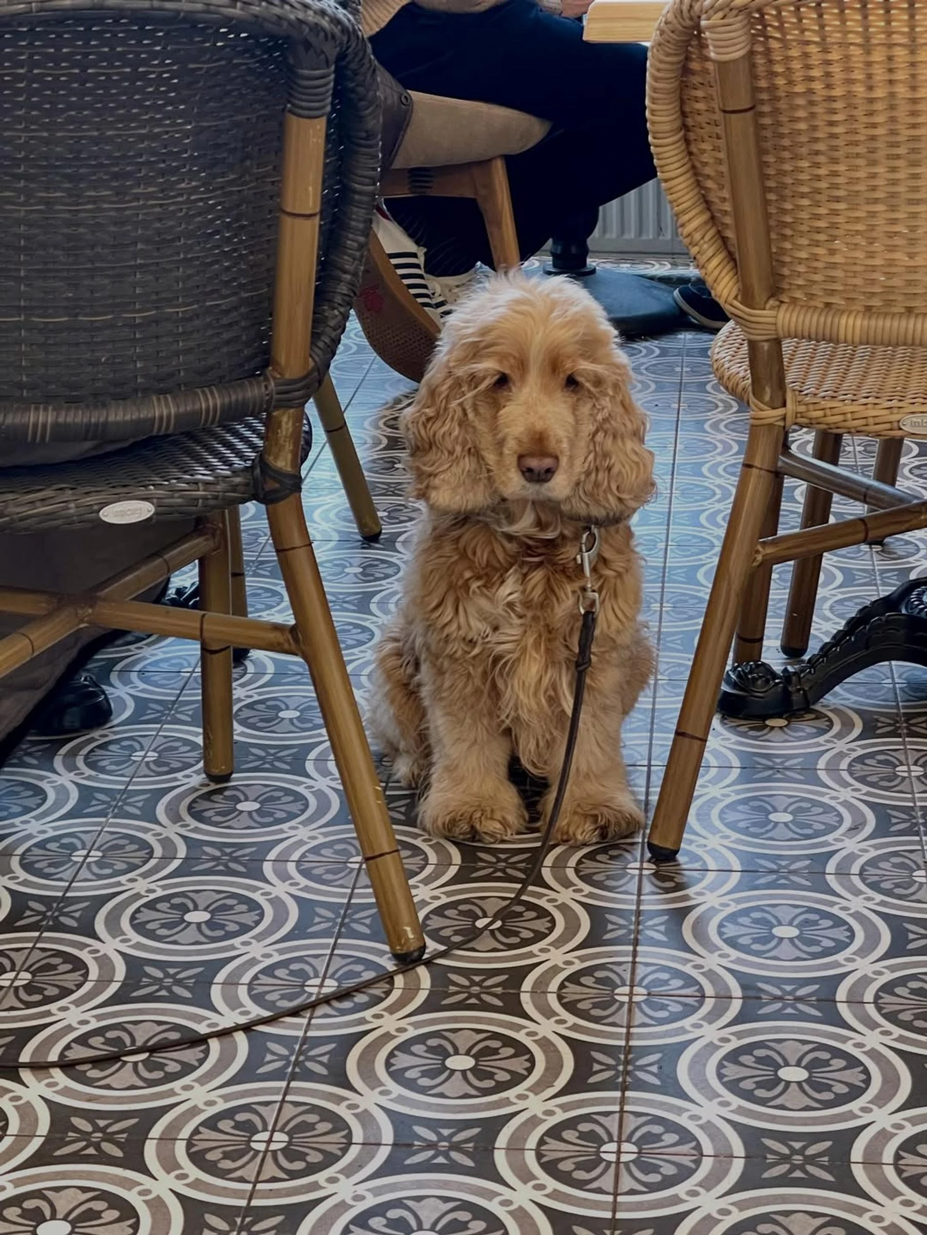 Фото: Инстаграм (запрещён в РФ) @_larisa_guzeeva_