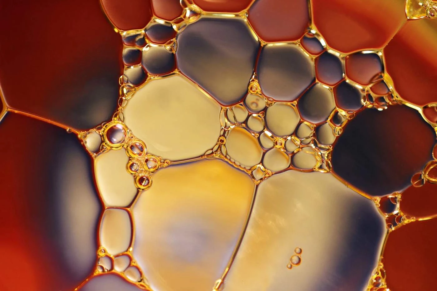 Фото: pexels.com
