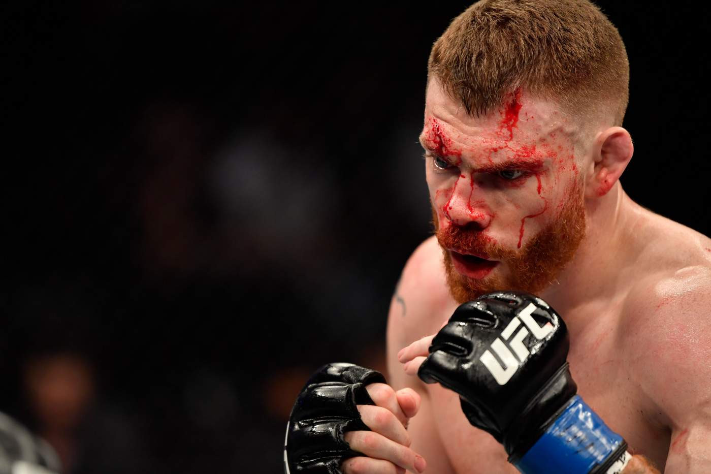 Фото: UFC