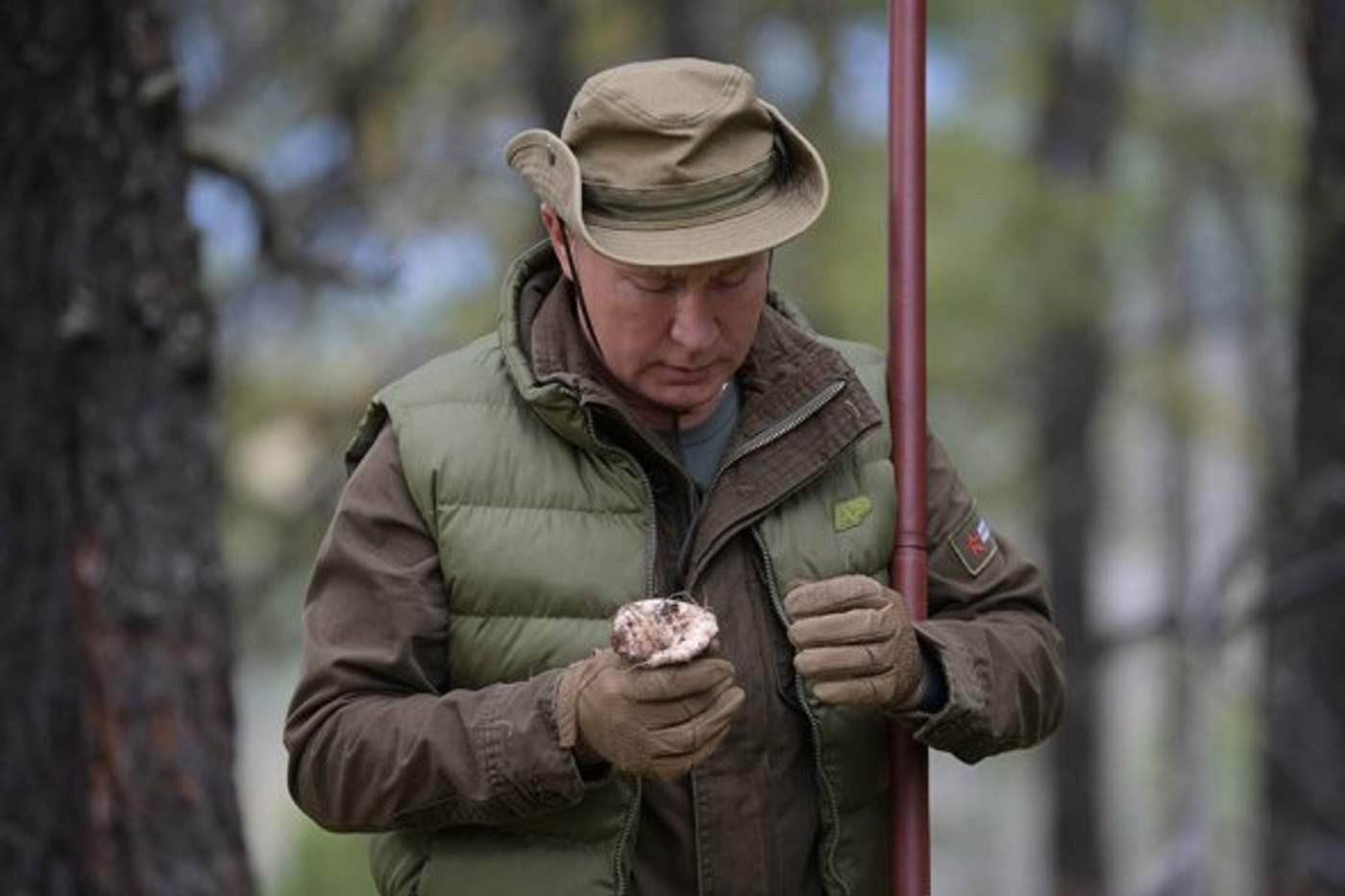 Владимир Путин, фото: Алексей Дружинин / ТАСС / РИА Новости
