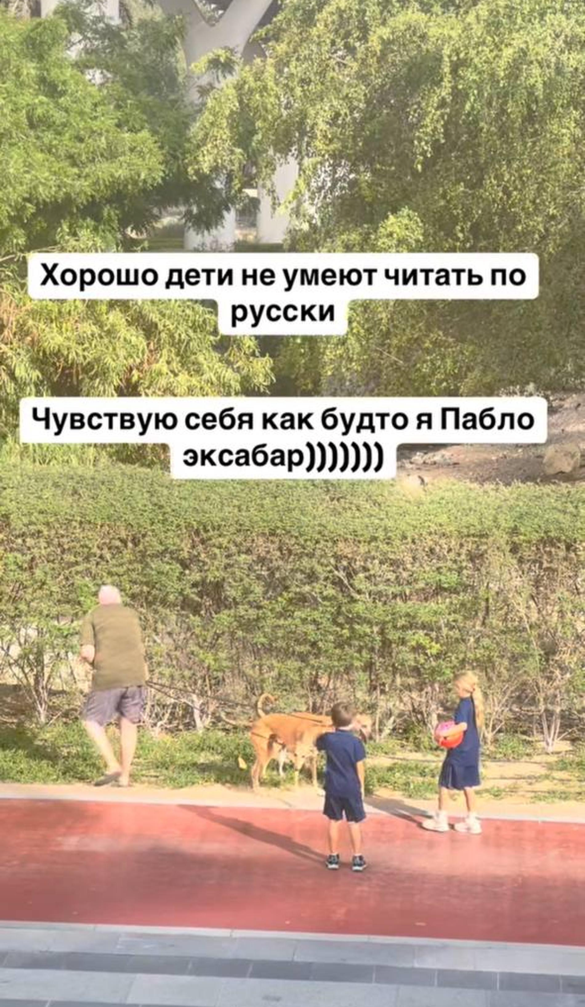 Скриншот: Инстаграм (запрещён в РФ) @inna_tliashinova