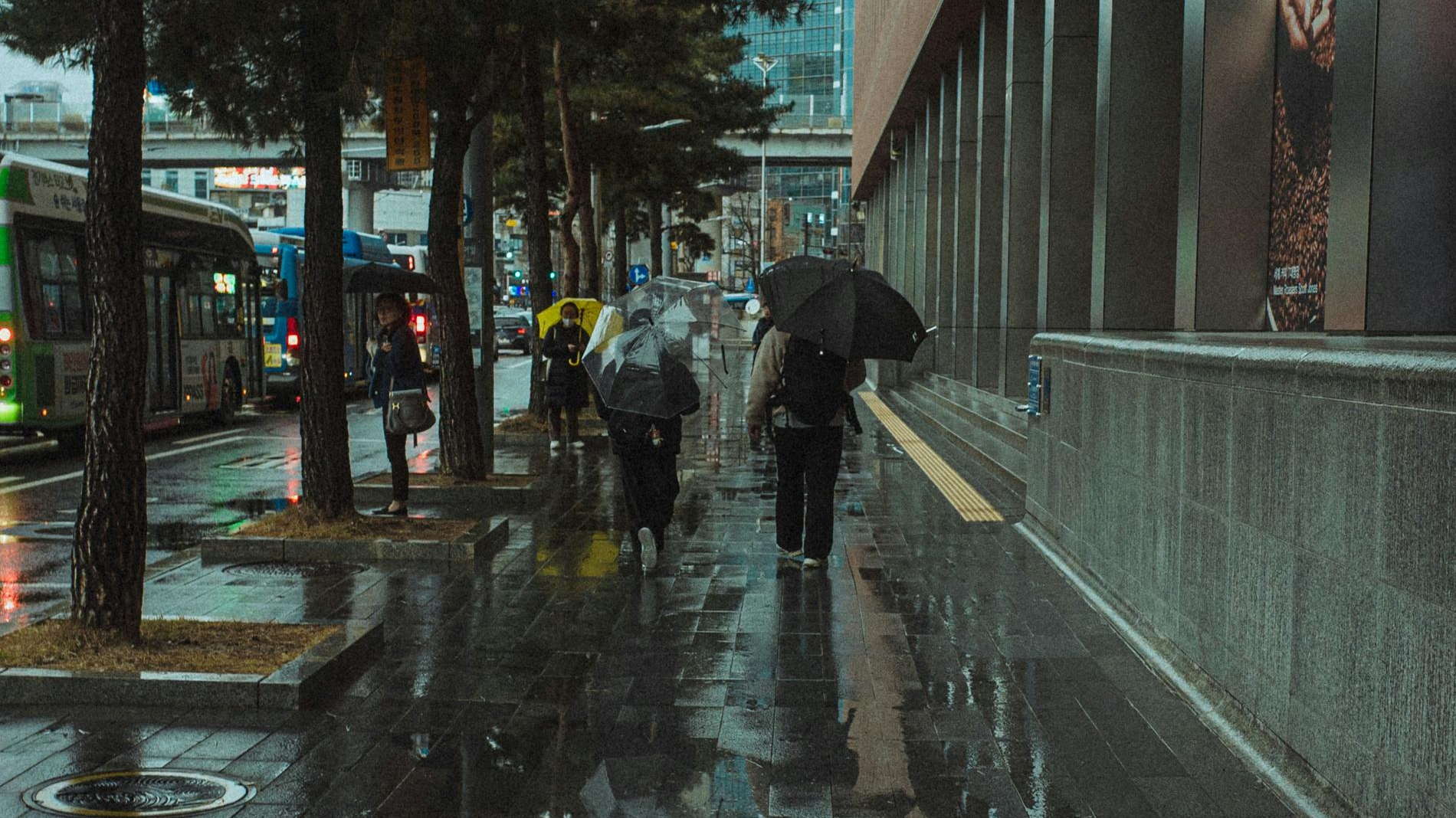 Фото: Unsplash