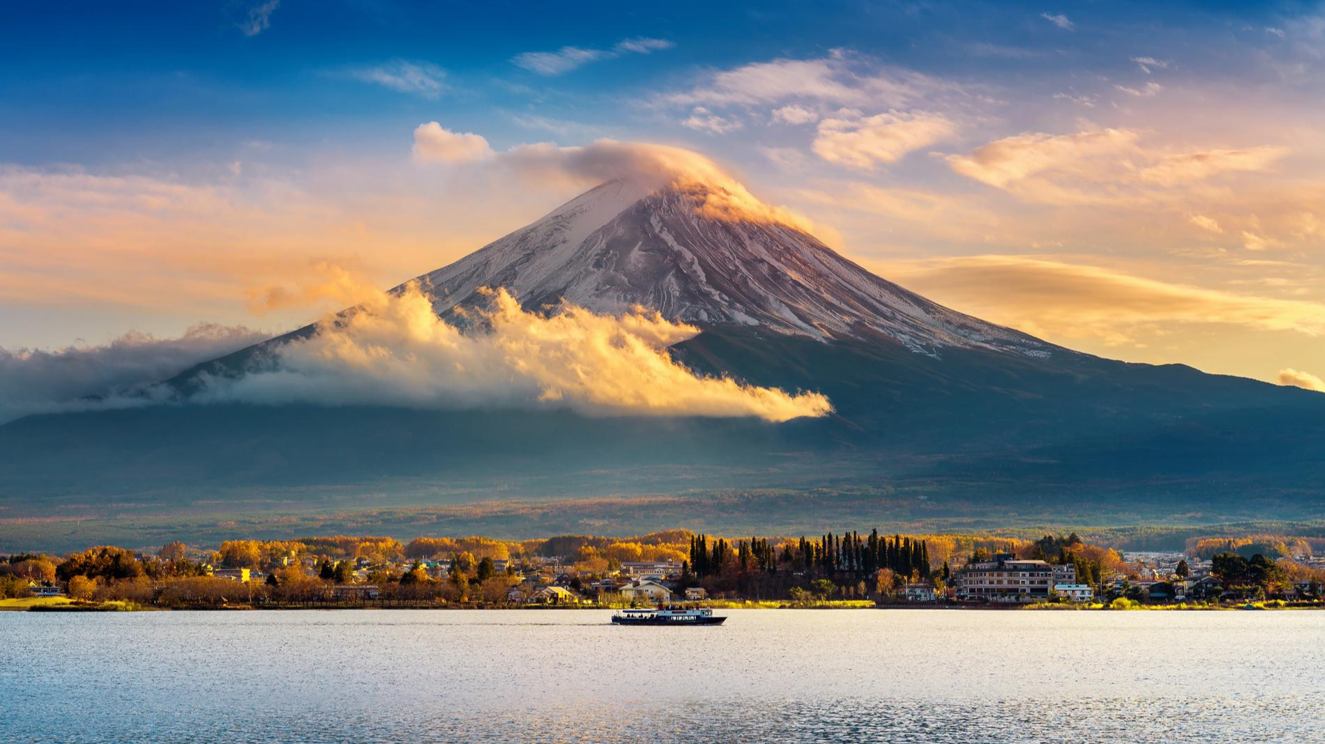 Фото: Freepik