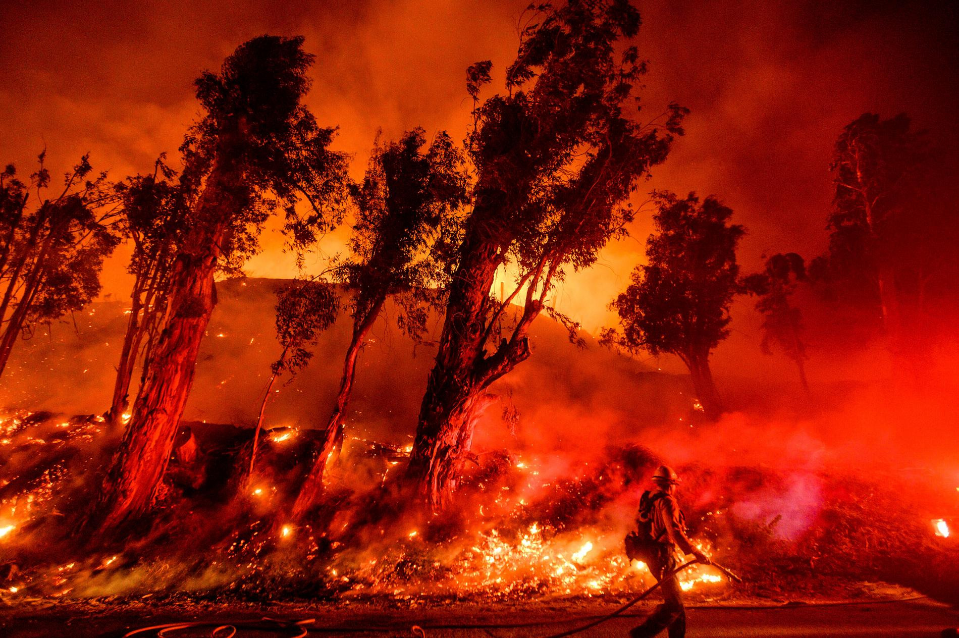 Фото © Associated Press