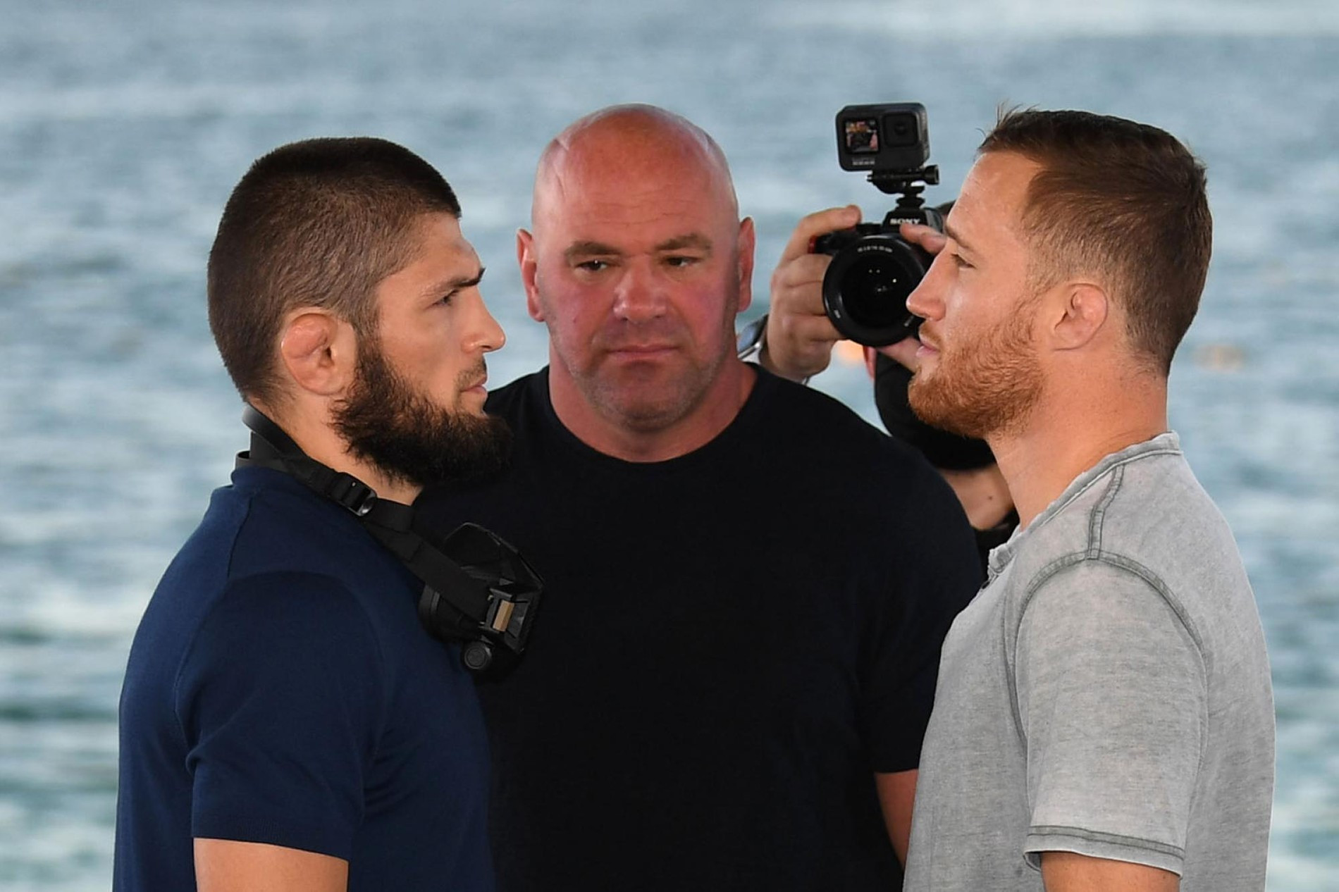 Фото: UFC