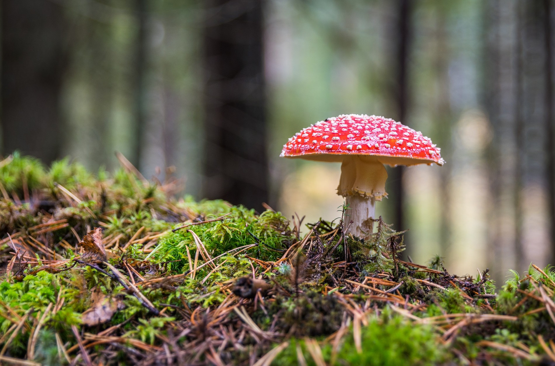 Фото: unsplash.com