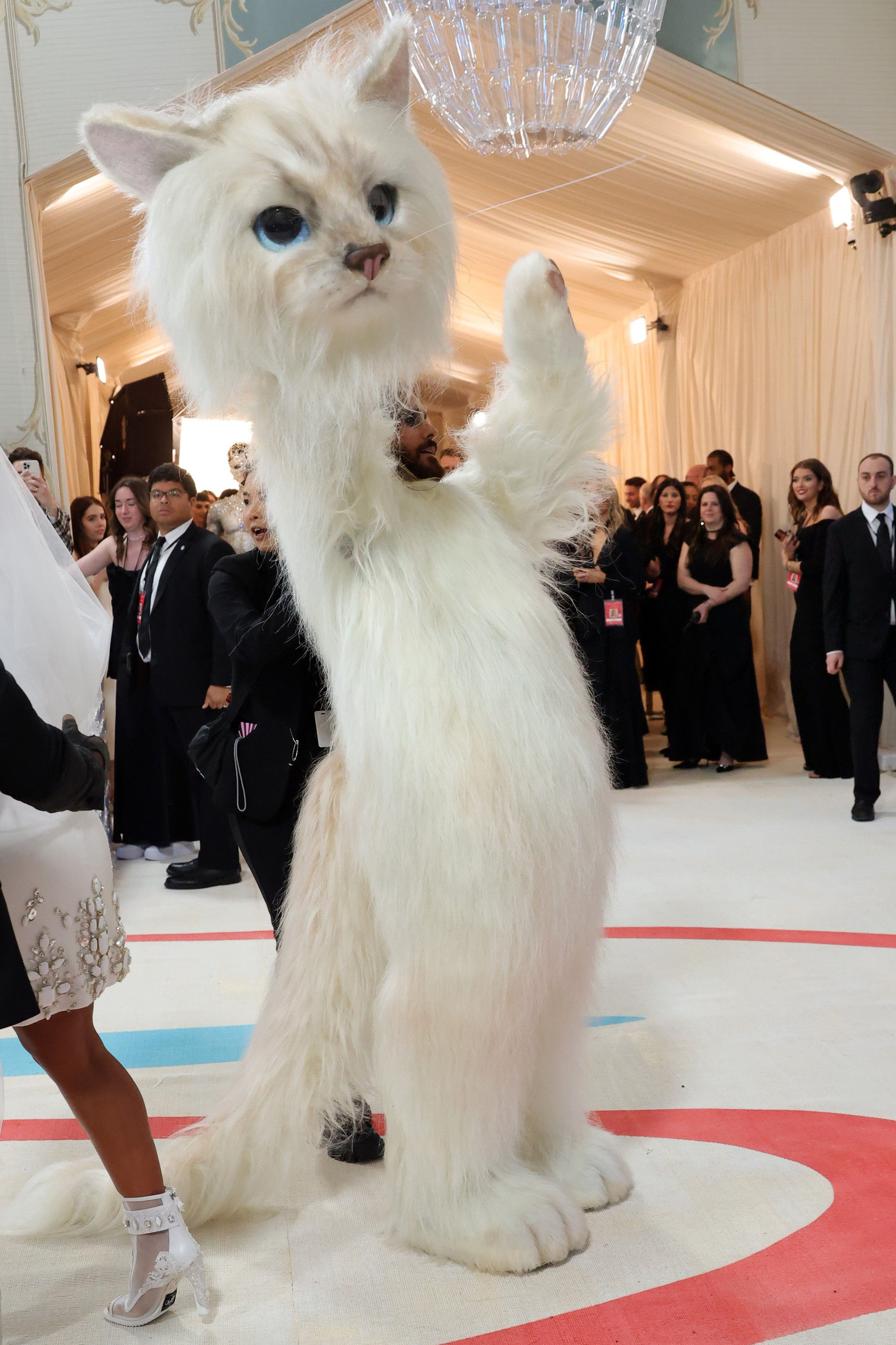 Джаред Лето в образе кошки Карла Лагерфельда на Met Gala 2023
Фото: Getty Images