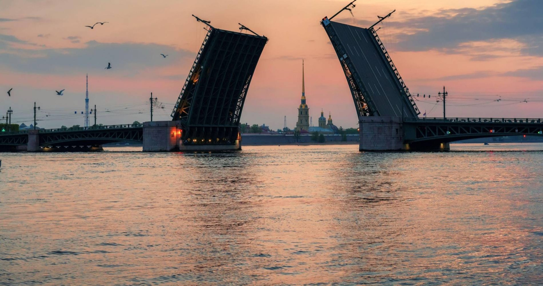 Петербурженка погибла во время свидания, упав в котлован разведенного моста:  жуткое видео