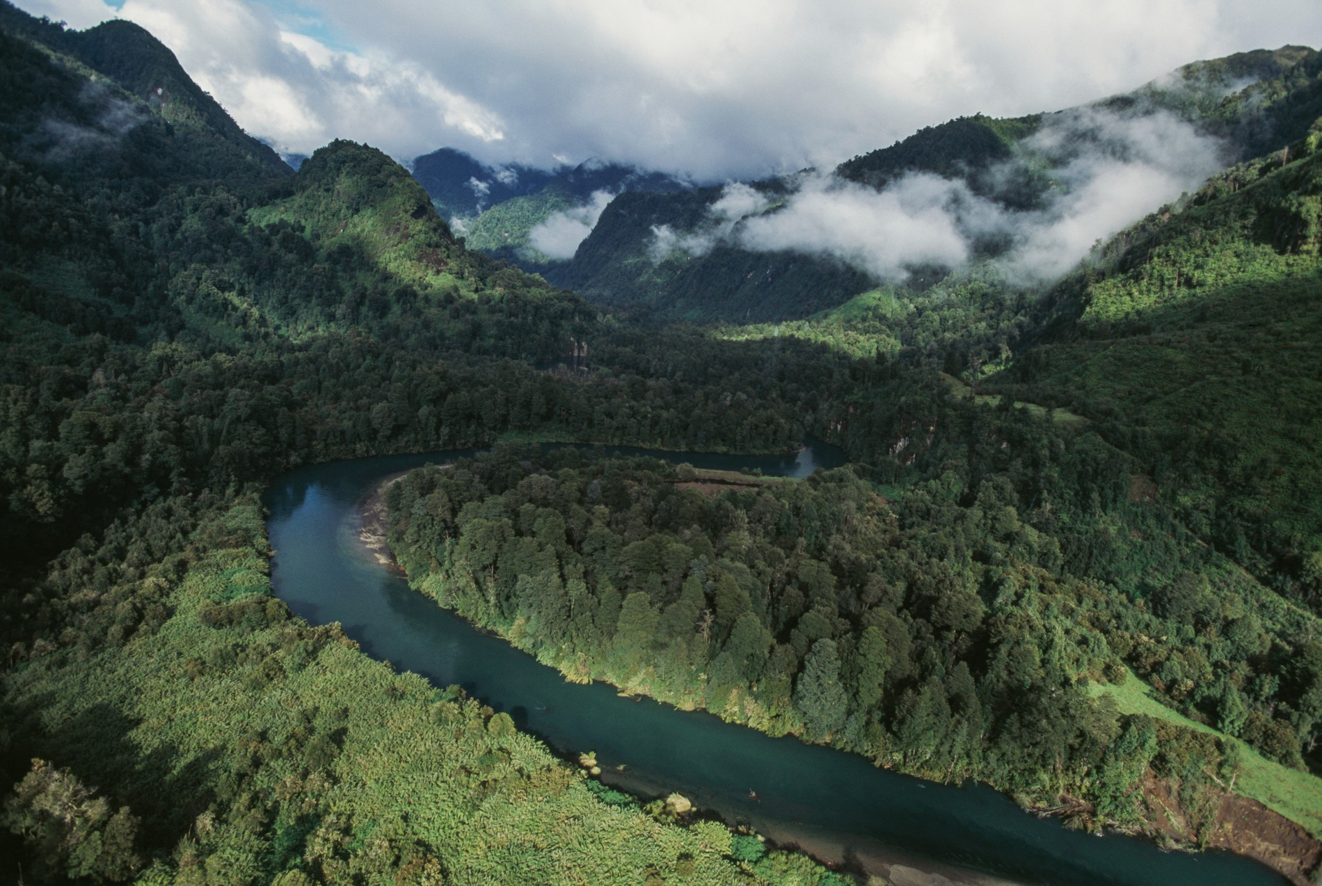 Джунгли Амазонки
Фото: Getty Images 
