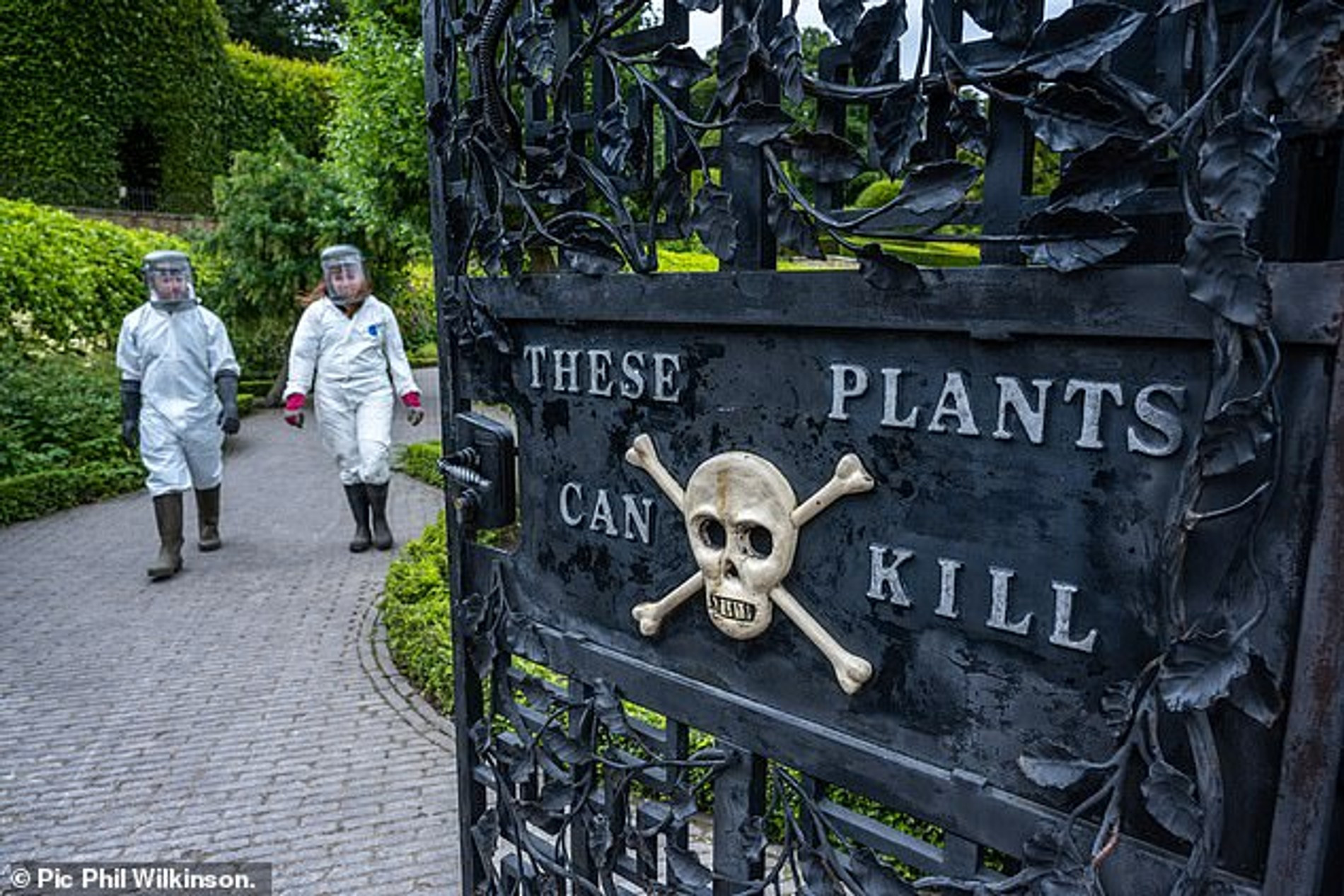 Надпись «Эти растения могут убить» на воротах, ведущих в «Ядовитый сад»
Фото: Daily Mail/Phil Wilkinson