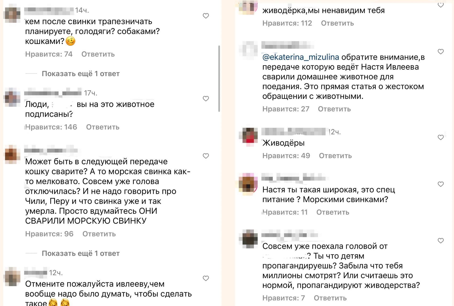 Комментарии под публикациями Анастасии Ивлеевой
