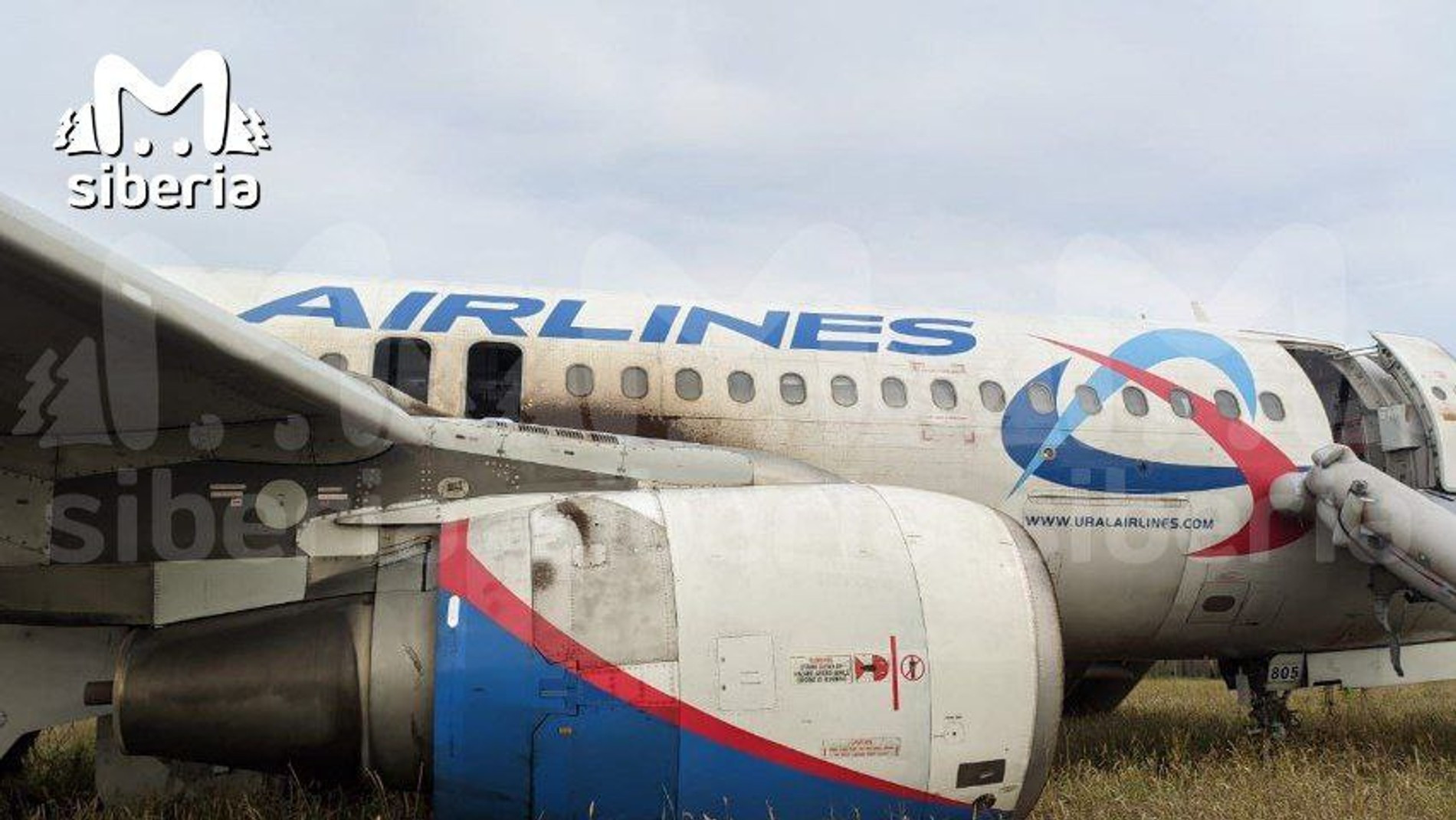 Самолет «Уральских авиалиний», севший в поле. Фото: Mash