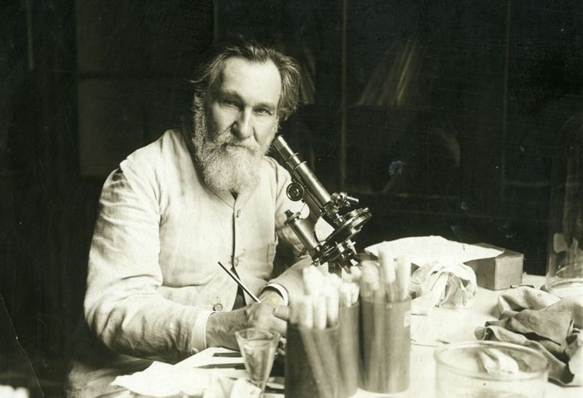 Илья Мечников в парижской лаборатории. Надар, ок. 1900 г. Источник: Wikimedia Commons