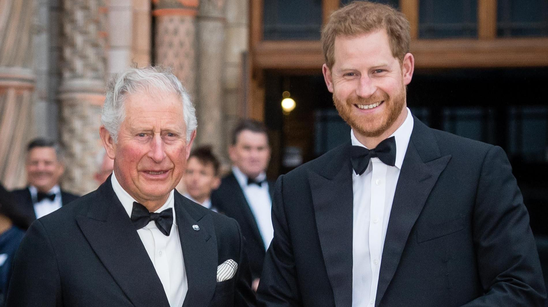 Король Карл и принц Гарри. Фото: Getty Images
