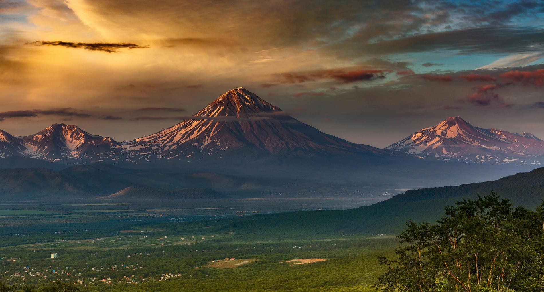 Фото: Александр Максин / pexels.com