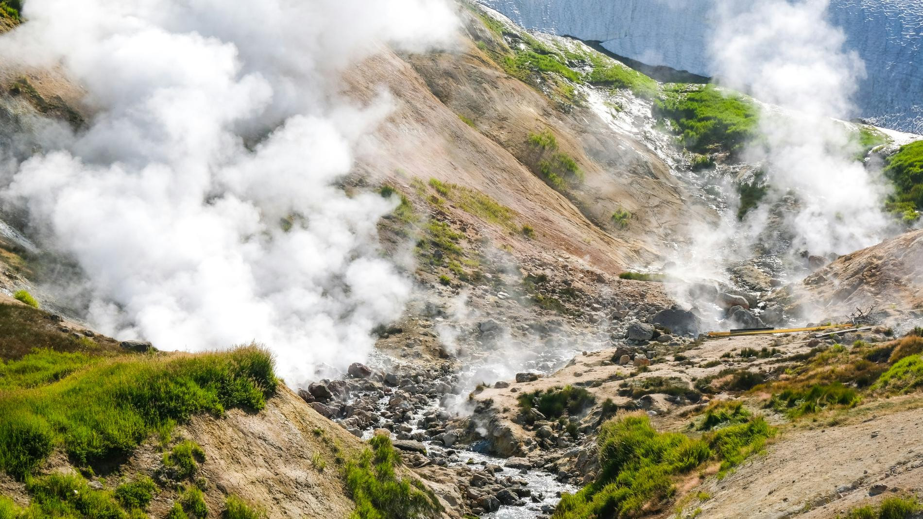 Фото: Mariya Tereshkova / Unsplash