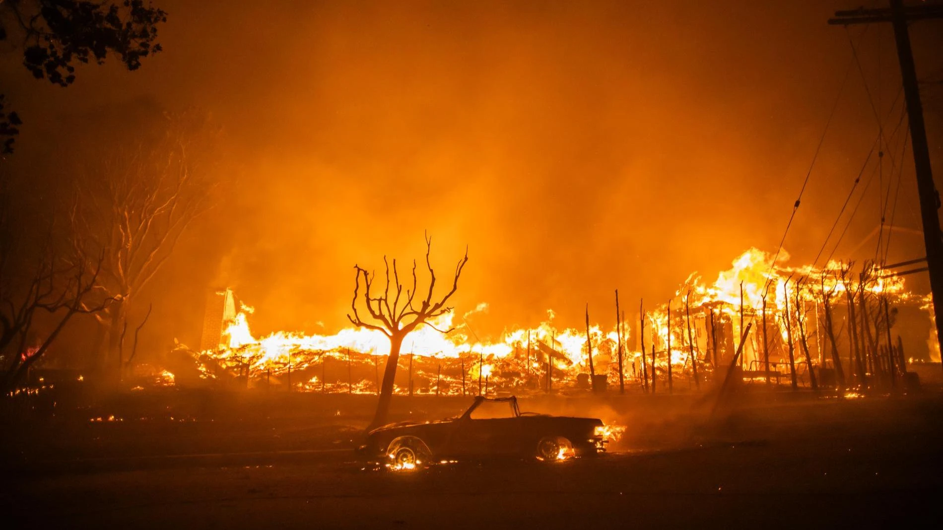 Пожар в Лос-Анджелесе. Фото: Getty Images